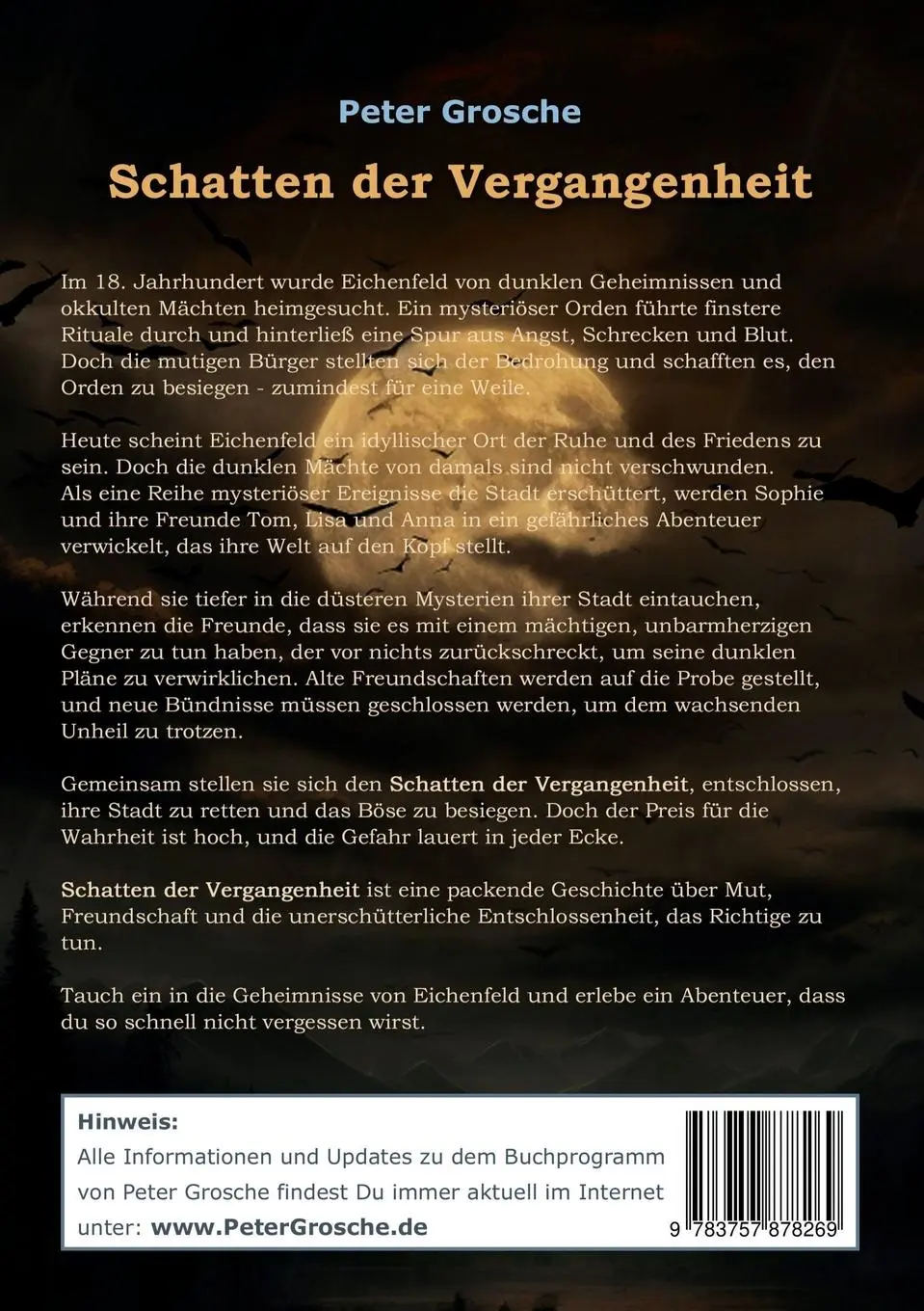 Rückseite: 9783757878269 | Schatten der Vergangenheit | Peter Grosche | Taschenbuch | Paperback