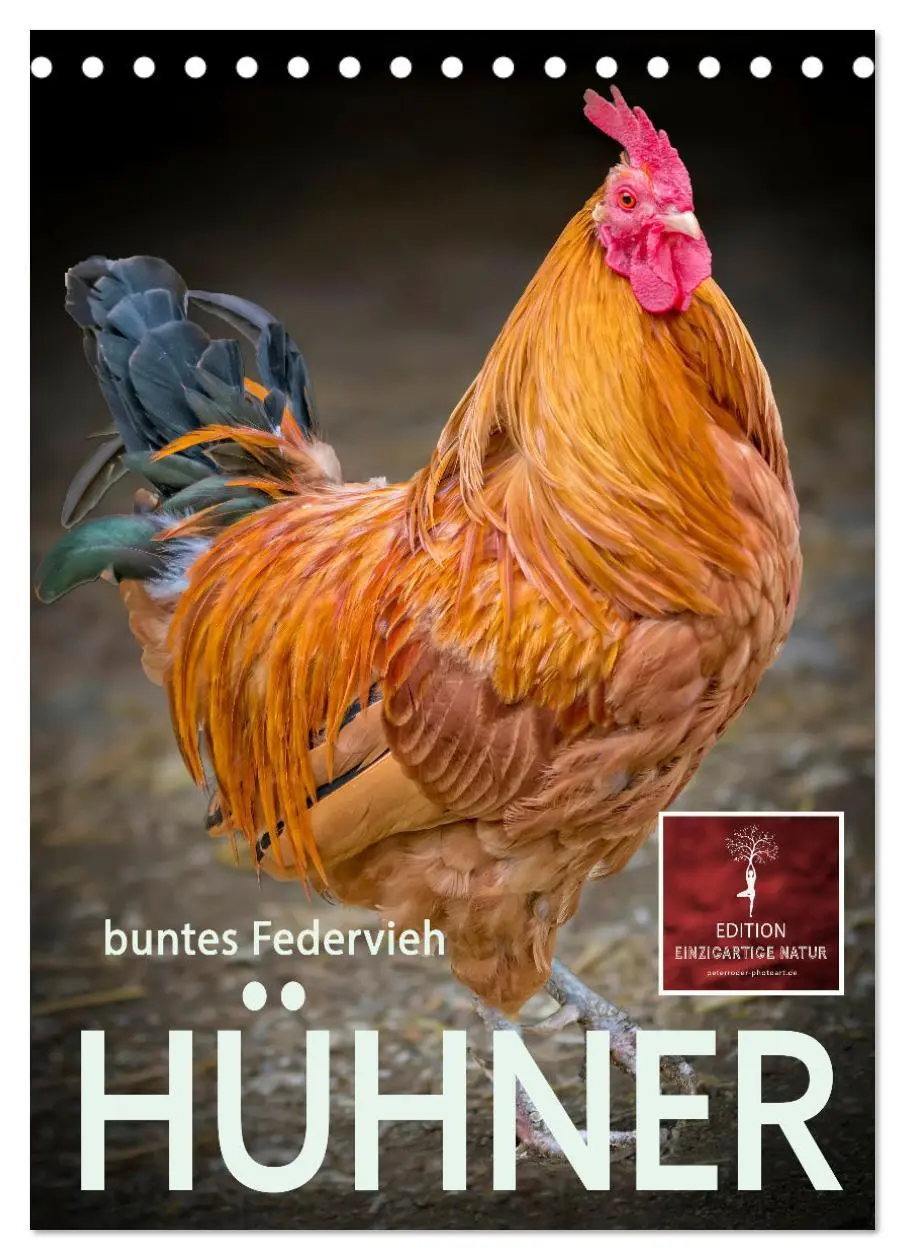 Cover: 9783516368369 | Hühner - buntes Federvieh (Tischkalender 2026 DIN A5 hoch),...