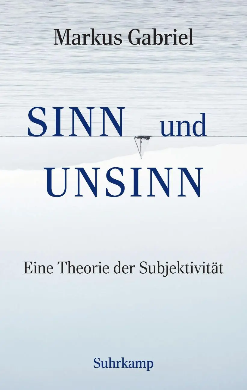 Cover: 9783518588369 | Sinn und Unsinn ¿ Eine Theorie der Subjektivität (Sinnfeldtheorie 3)