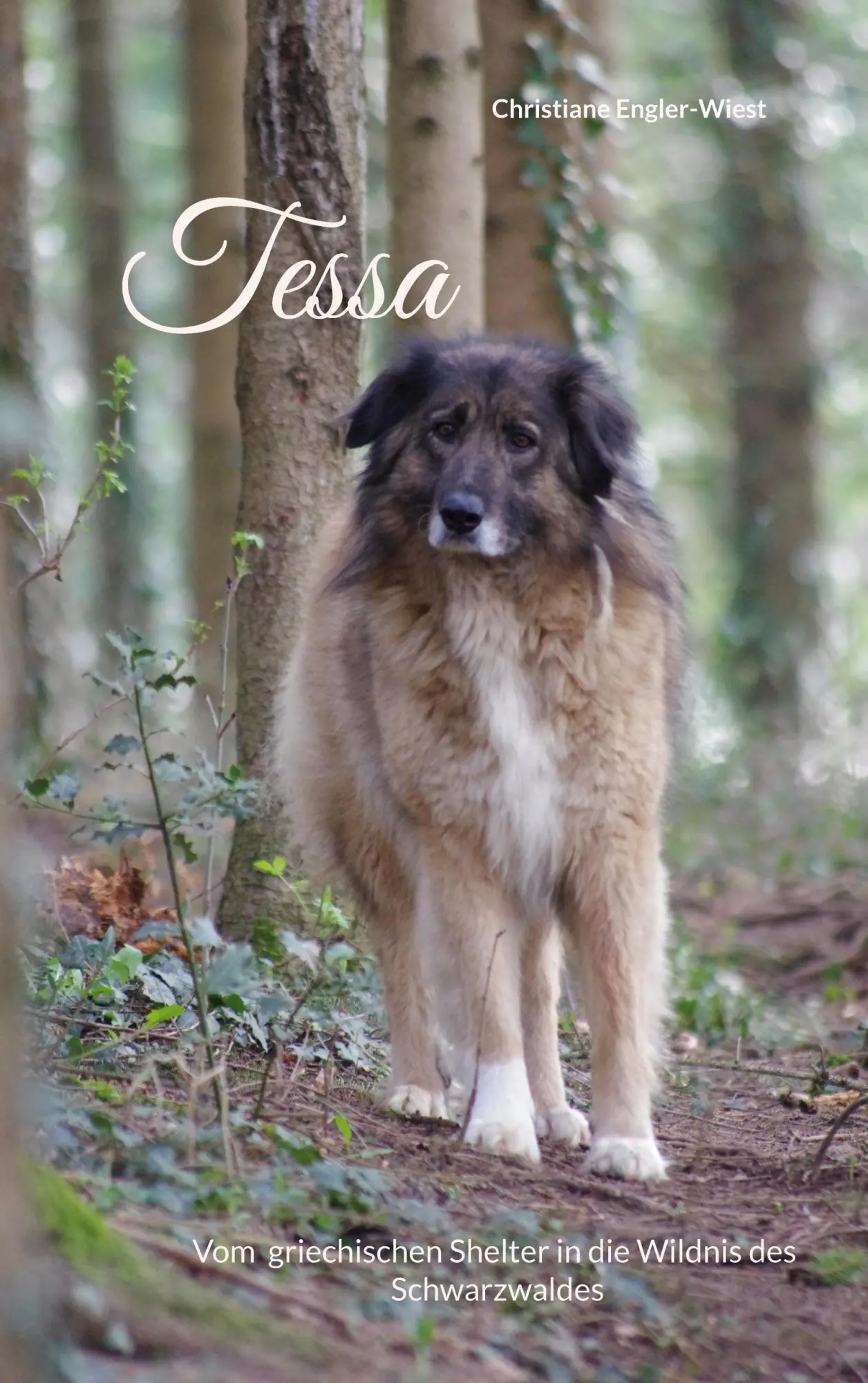 Cover: 9783695188369 | Tessa | Vom griechischen Shelter in die Wildnis des Schwarzwaldes