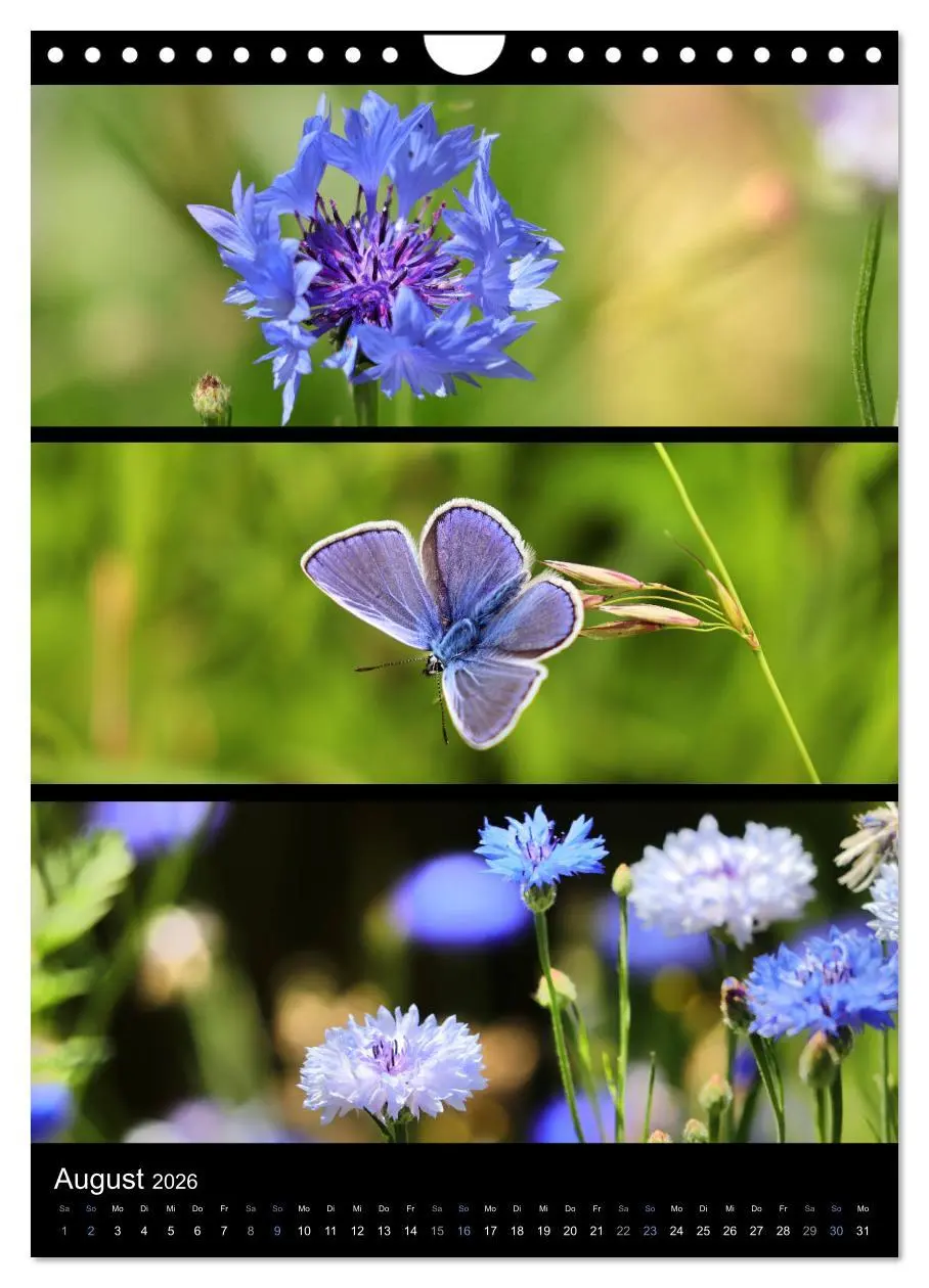 Bild: 9783516358469 | Bezaubernde Farben der Natur (Wandkalender 2026 DIN A4 hoch),...