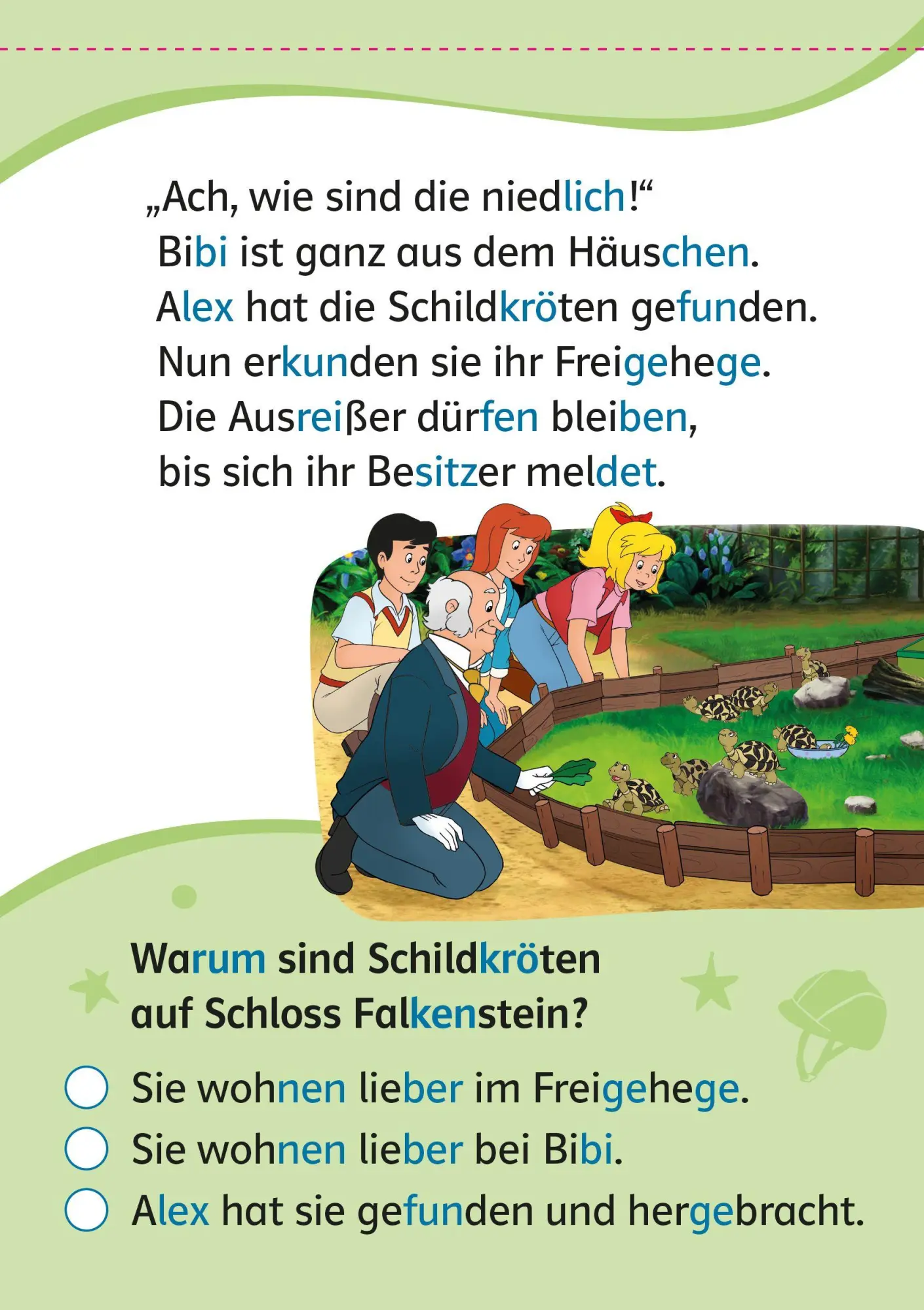 Bild: 9783129498569 | Lesefuchs Bibi &amp; Tina: Leserätsel Lesestufe 1, Band 1 | Taschenbuch
