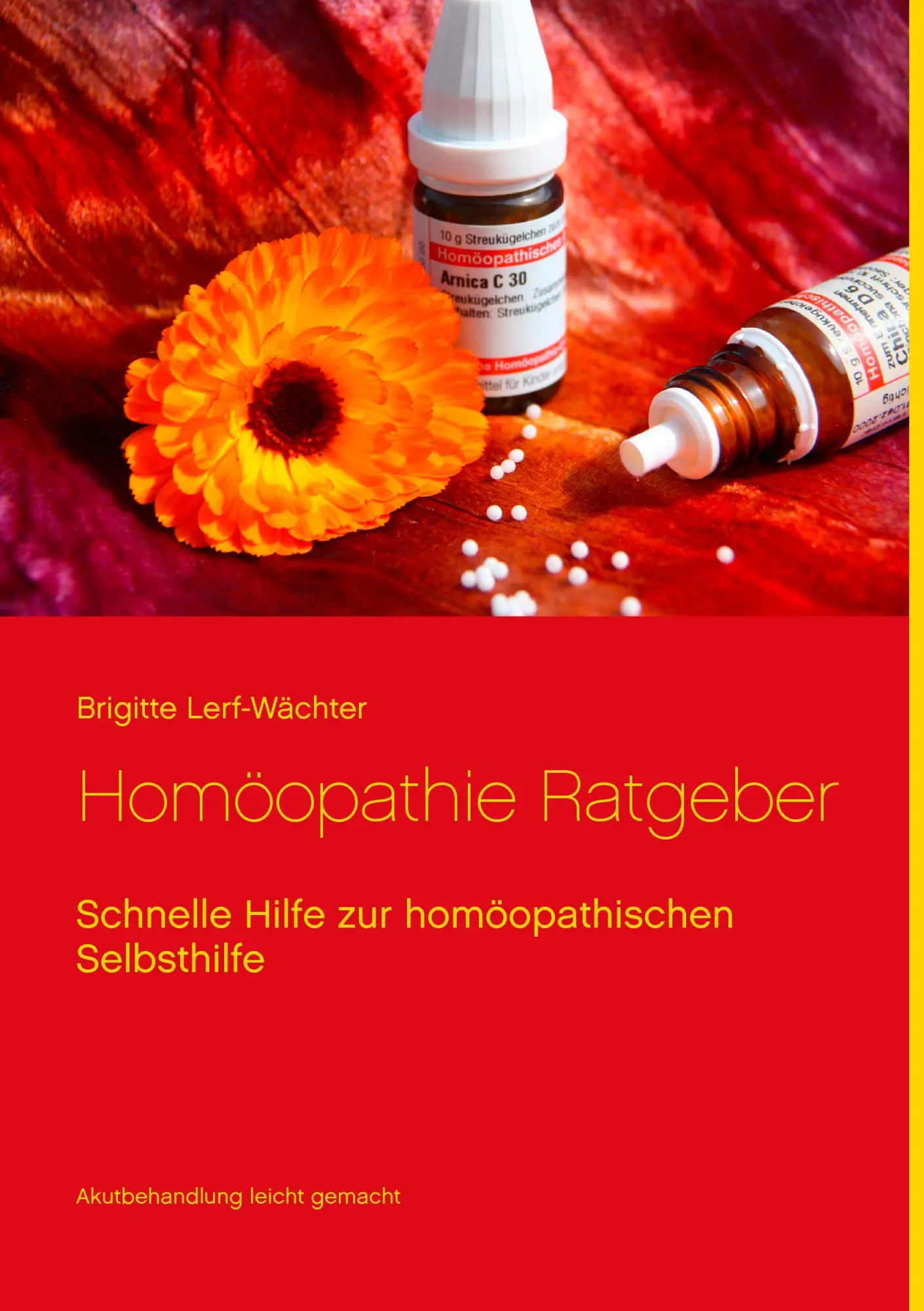 Cover: 9783734768569 | Homöopathie Ratgeber | Schnelle Hilfe zur homöopathischen Selbsthilfe