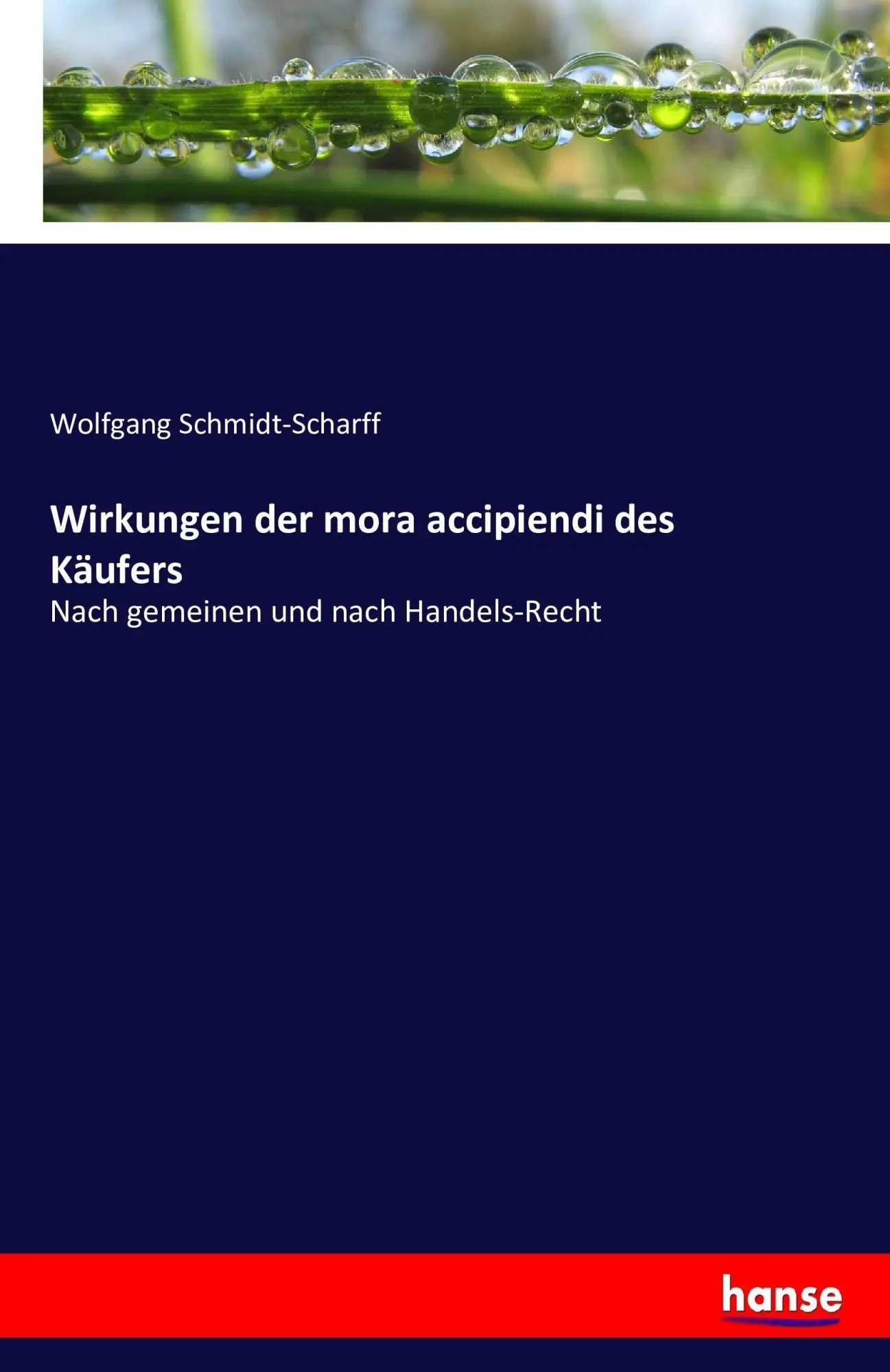 Cover: 9783743438569 | Wirkungen der mora accipiendi des Käufers | Wolfgang Schmidt-Scharff