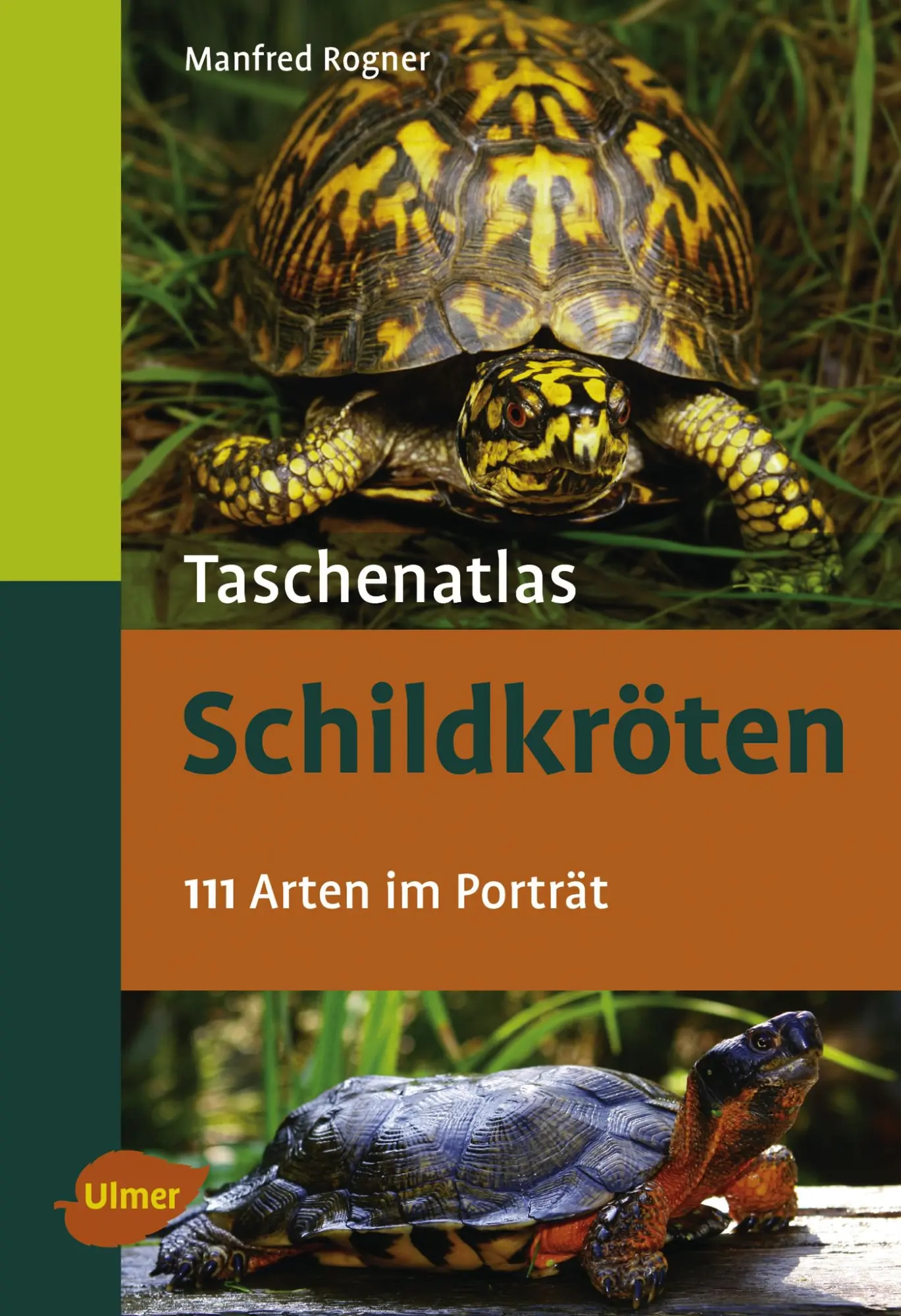 Cover: 9783800158669 | Taschenatlas Schildkröten | 112 Arten im Porträt | Manfred Rogner