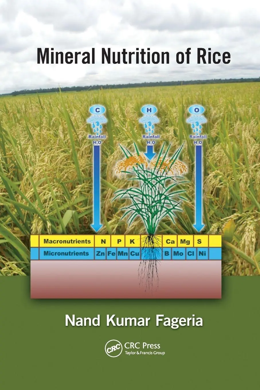 Cover: 9781138198869 | Mineral Nutrition of Rice | N. K. Fageria | Taschenbuch | Englisch