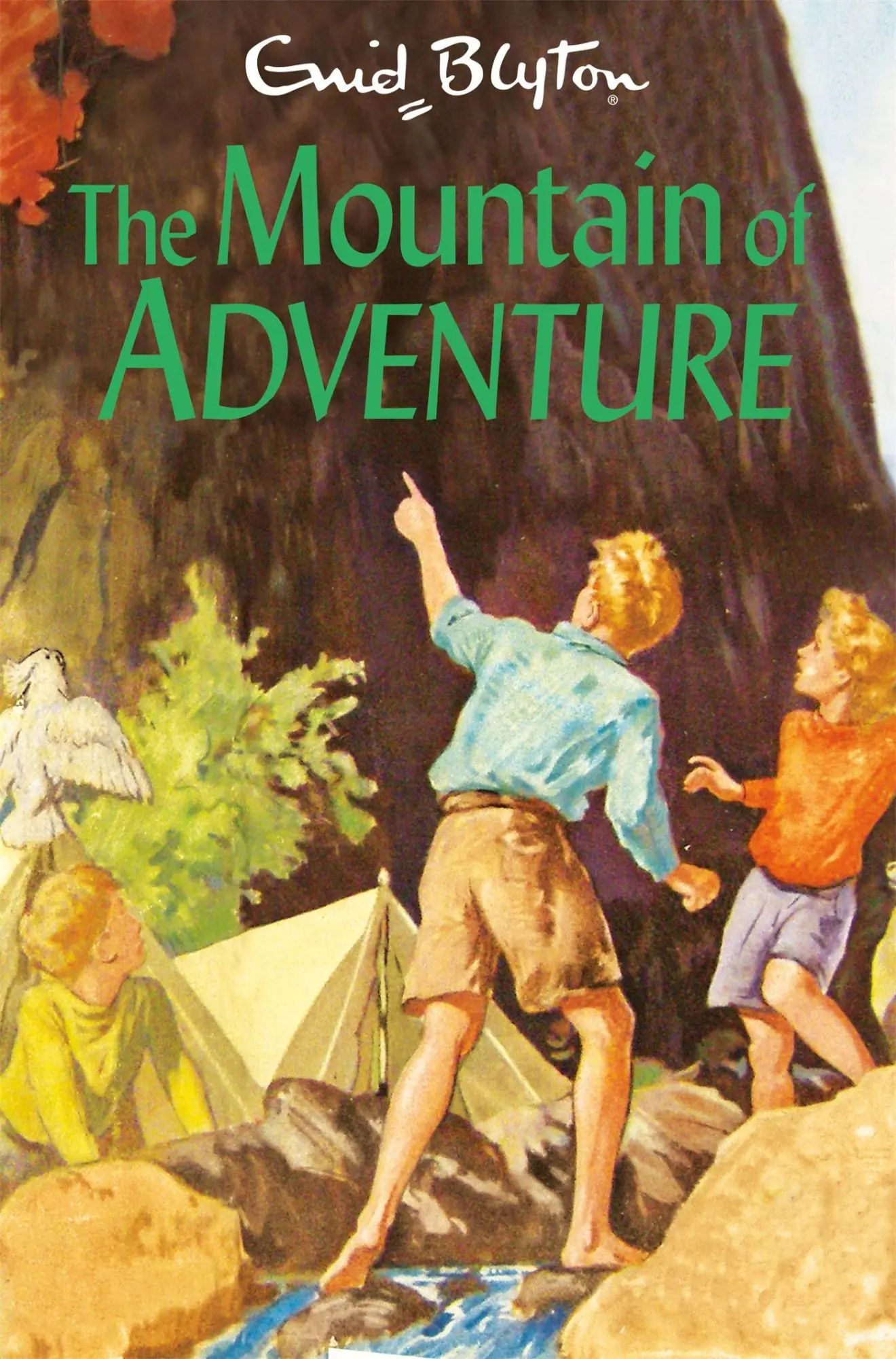 Cover: 9781529008869 | The Mountain of Adventure | Enid Blyton | Taschenbuch | 288 S. | 2023