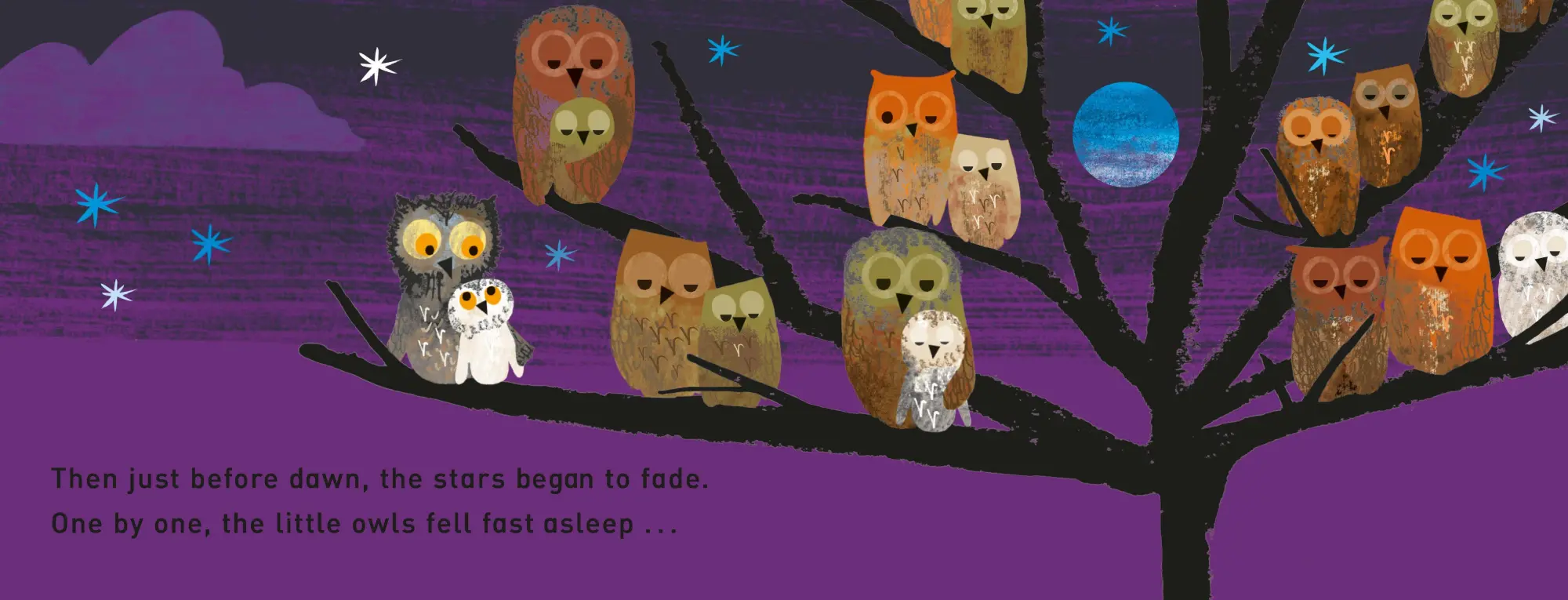 Bild: 9781529098969 | WOW! It's Night-time | A First Book of Animals | Tim Hopgood | Buch