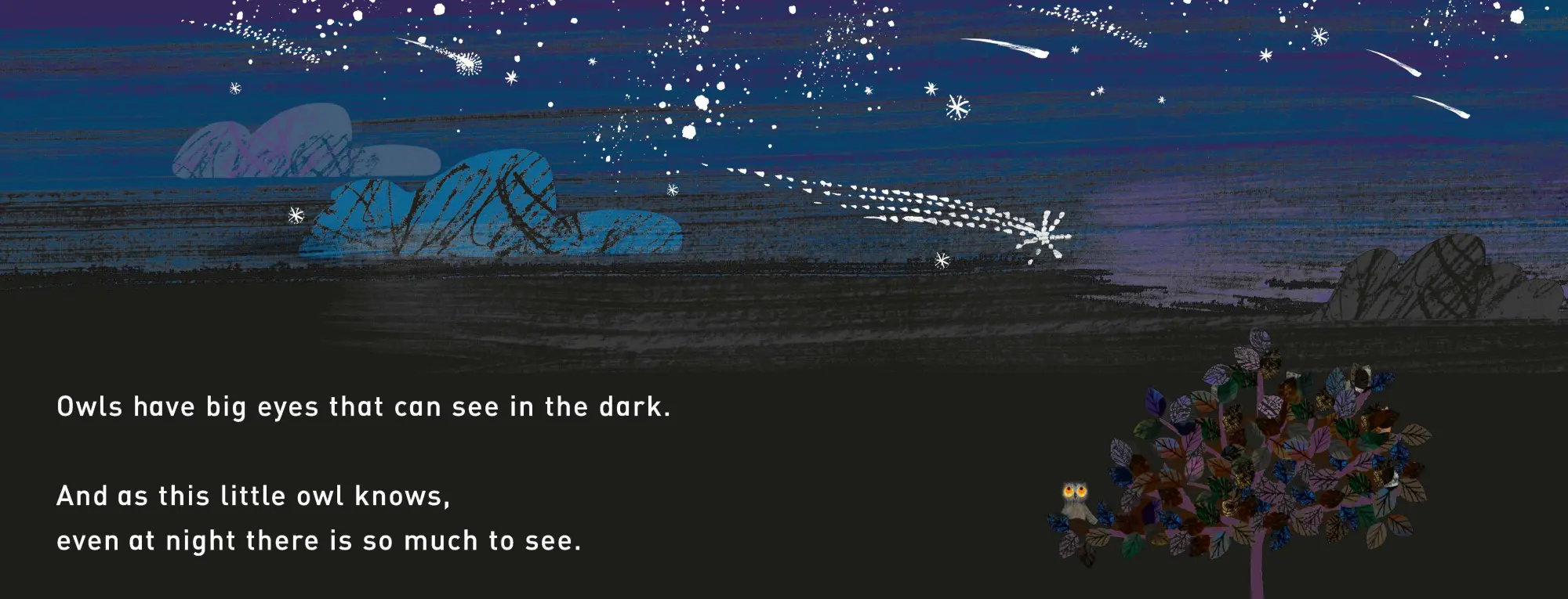Bild: 9781529098969 | WOW! It's Night-time | A First Book of Animals | Tim Hopgood | Buch