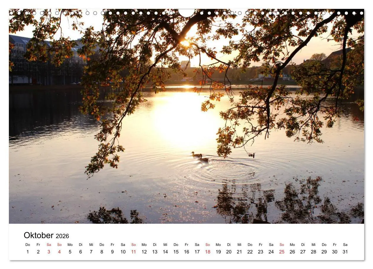 Bild: 9783516098969 | Schleswig-Holstein (Wandkalender 2026 DIN A3 quer), CALVENDO...