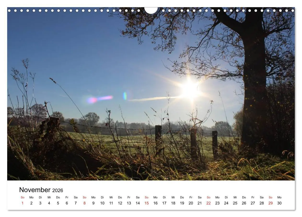 Bild: 9783516098969 | Schleswig-Holstein (Wandkalender 2026 DIN A3 quer), CALVENDO...