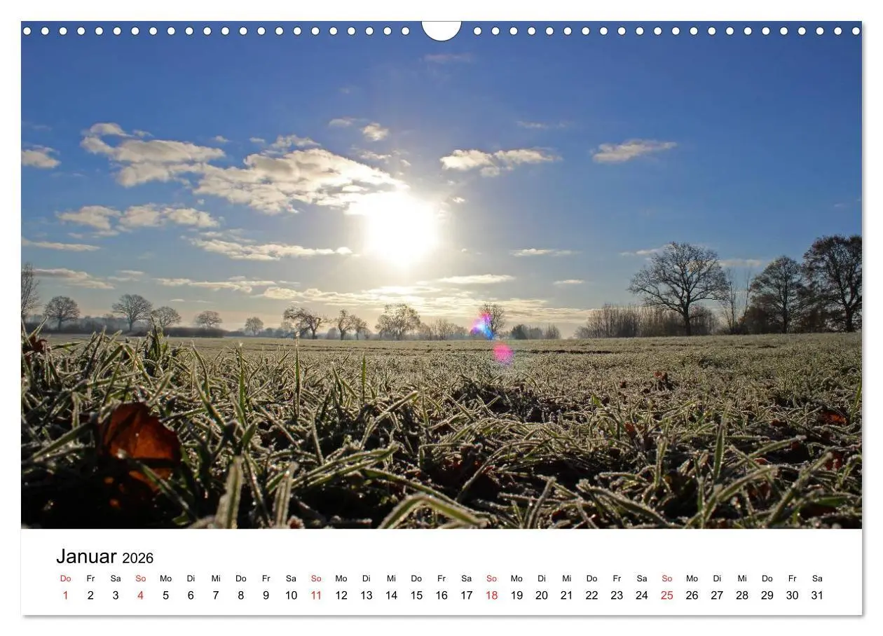 Bild: 9783516098969 | Schleswig-Holstein (Wandkalender 2026 DIN A3 quer), CALVENDO...