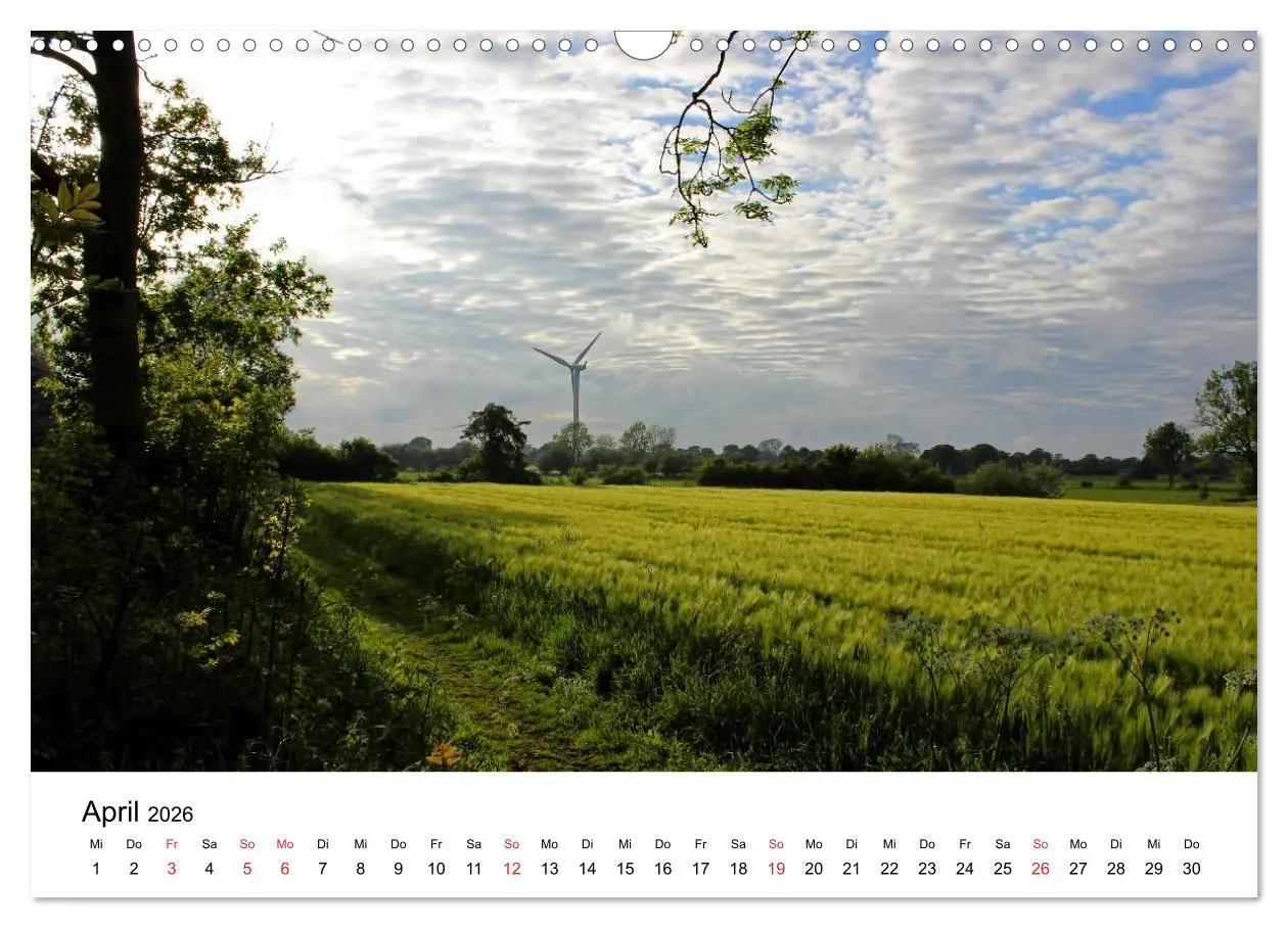 Bild: 9783516098969 | Schleswig-Holstein (Wandkalender 2026 DIN A3 quer), CALVENDO...