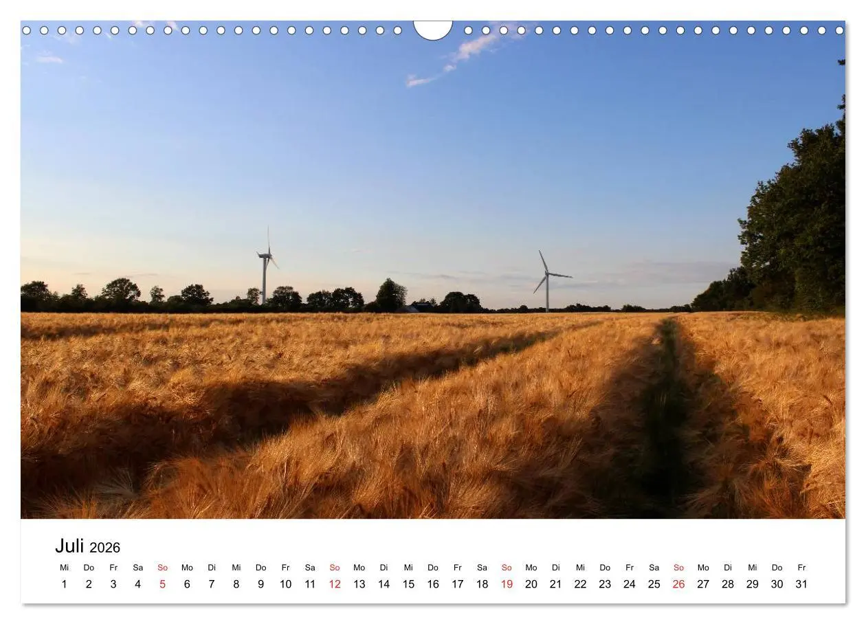 Bild: 9783516098969 | Schleswig-Holstein (Wandkalender 2026 DIN A3 quer), CALVENDO...