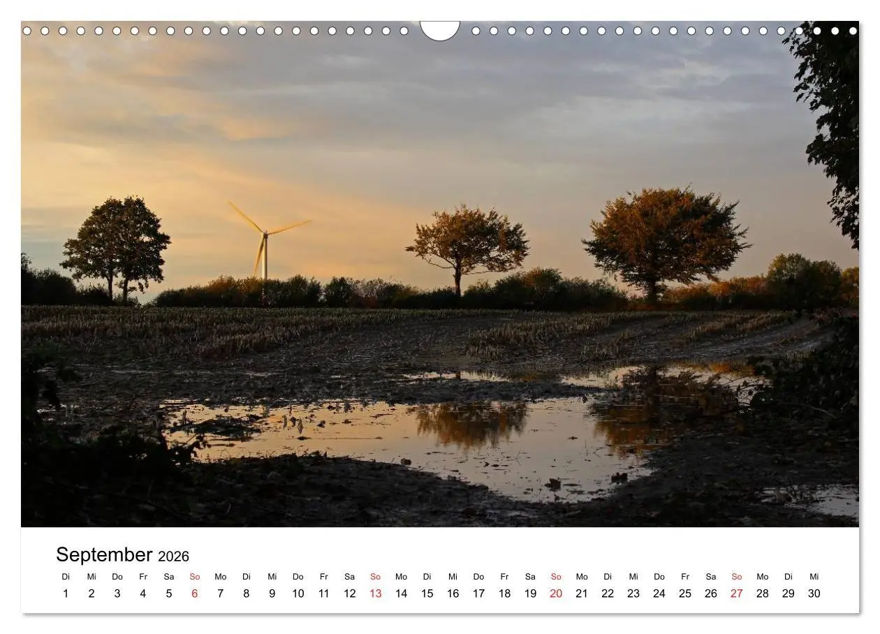 Bild: 9783516098969 | Schleswig-Holstein (Wandkalender 2026 DIN A3 quer), CALVENDO...