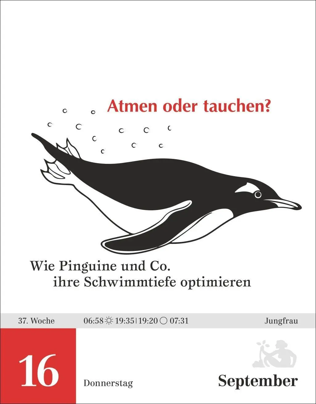 Bild: 9783840038969 | Einstein für Quanten-Dilettanten Tagesabreißkalender 2027 - Ein...
