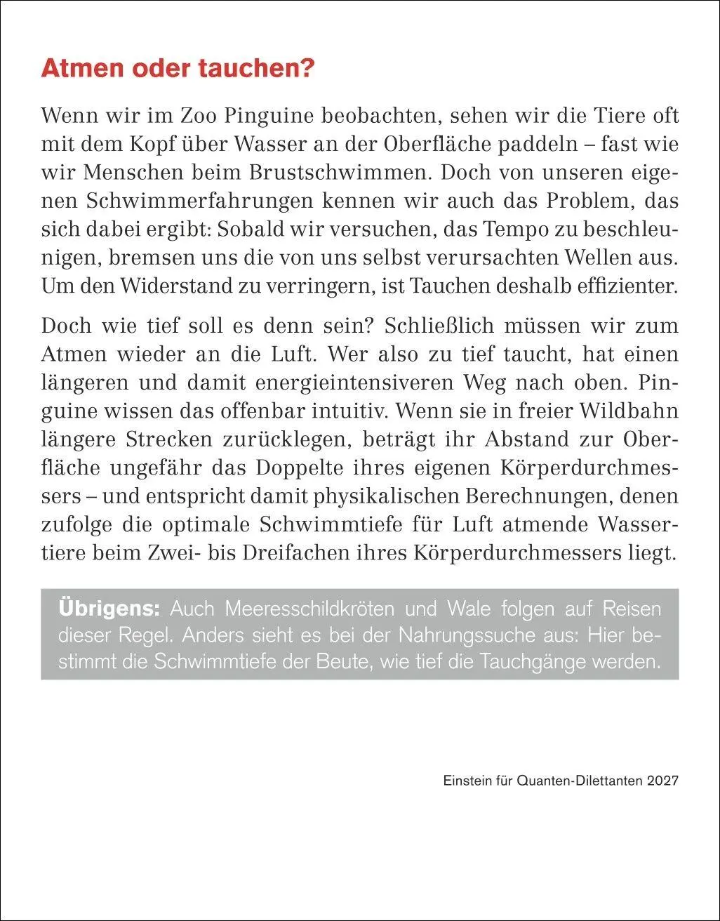 Bild: 9783840038969 | Einstein für Quanten-Dilettanten Tagesabreißkalender 2027 - Ein...