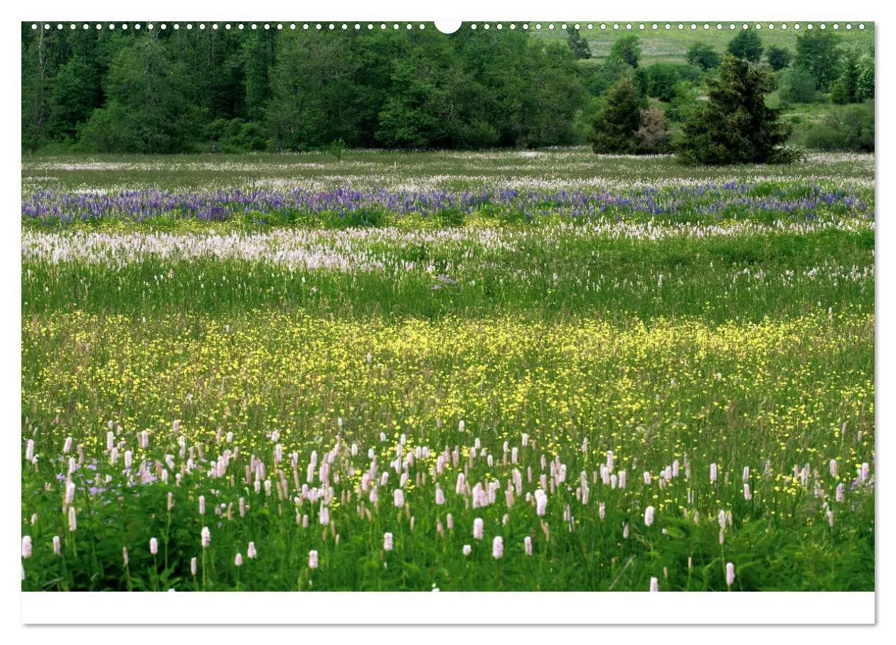 Bild: 9783435499069 | Naturerlebnis im Biosphärenreservat Rhön (Wandkalender 2025 DIN A2...