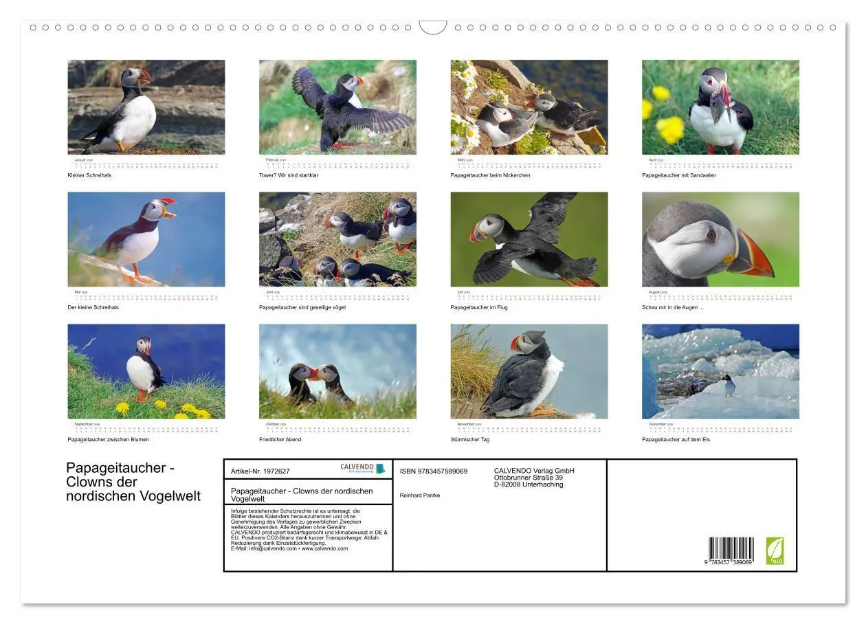 Bild: 9783457589069 | Papageitaucher - Clowns der nordischen Vogelwelt (Wandkalender 2026...