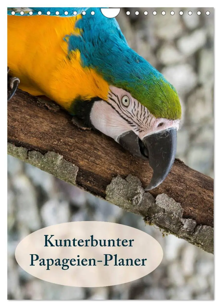 Cover: 9783516439069 | Kunterbunter Papageien-Planer (Wandkalender 2026 DIN A4 hoch),...