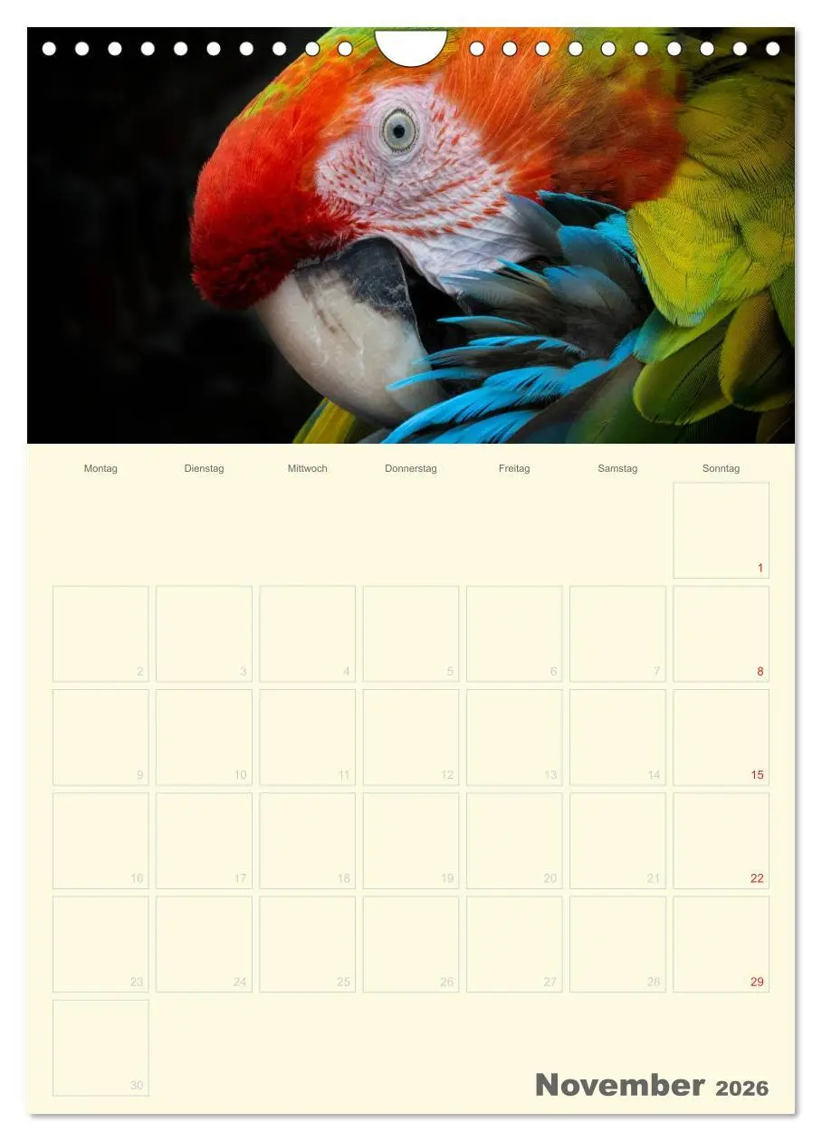 Bild: 9783516439069 | Kunterbunter Papageien-Planer (Wandkalender 2026 DIN A4 hoch),...