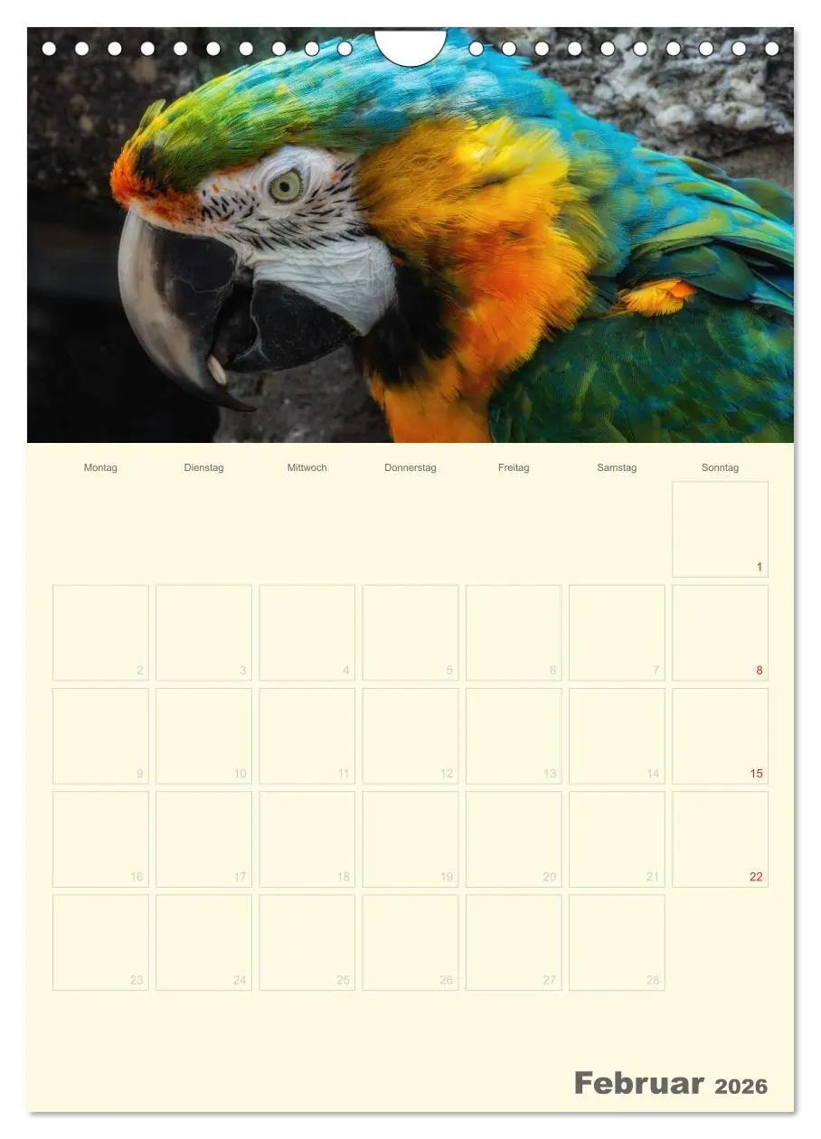 Bild: 9783516439069 | Kunterbunter Papageien-Planer (Wandkalender 2026 DIN A4 hoch),...