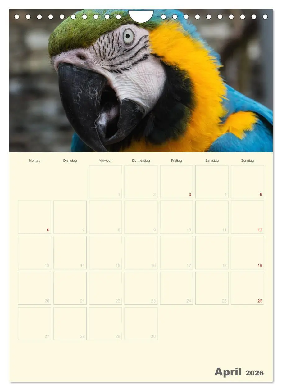 Bild: 9783516439069 | Kunterbunter Papageien-Planer (Wandkalender 2026 DIN A4 hoch),...