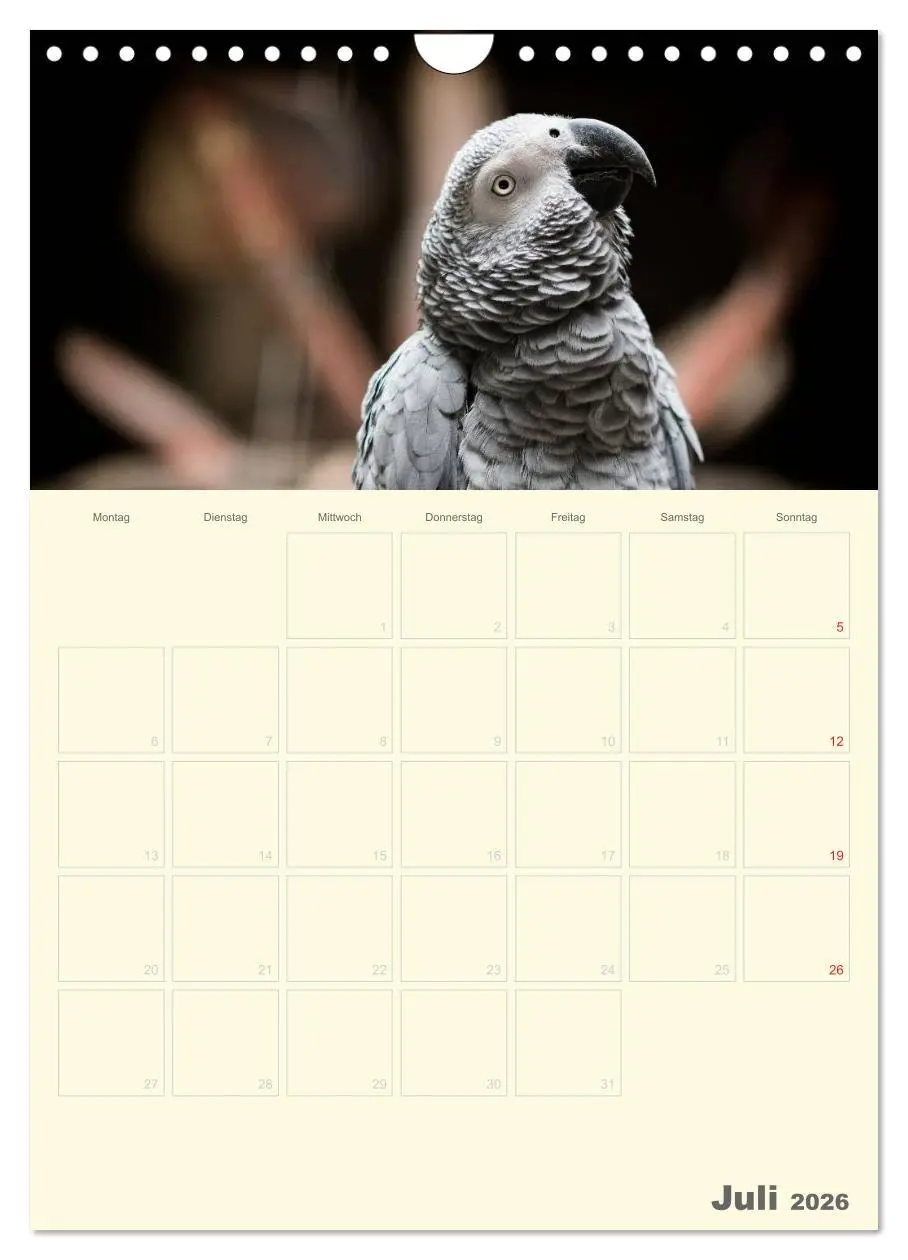 Bild: 9783516439069 | Kunterbunter Papageien-Planer (Wandkalender 2026 DIN A4 hoch),...