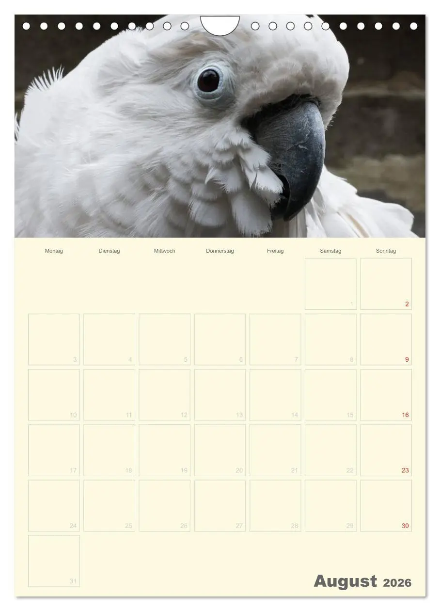 Bild: 9783516439069 | Kunterbunter Papageien-Planer (Wandkalender 2026 DIN A4 hoch),...