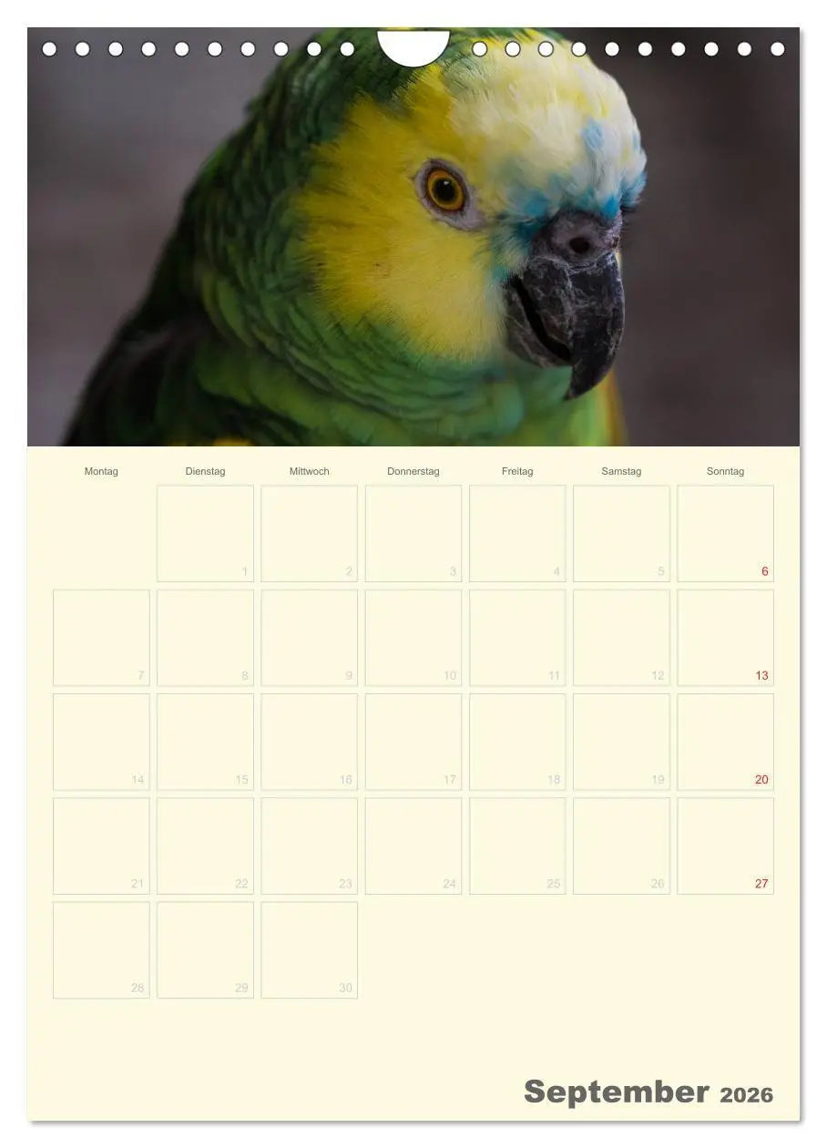 Bild: 9783516439069 | Kunterbunter Papageien-Planer (Wandkalender 2026 DIN A4 hoch),...