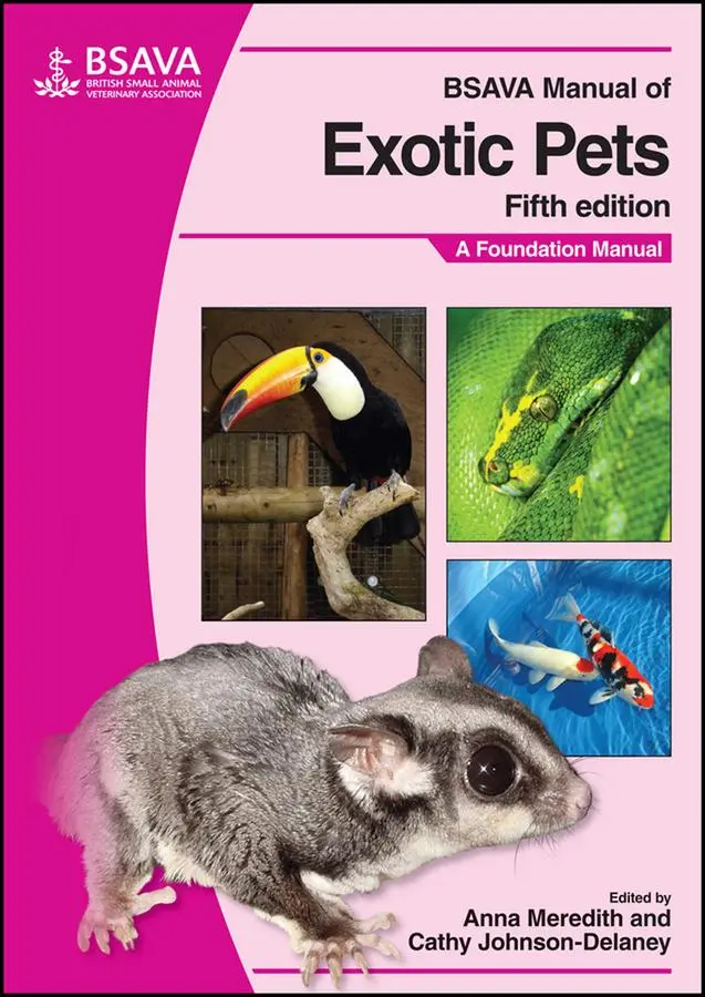 Cover: 9781905319169 | BSAVA Manual of Exotic Pets | A Foundation Manual | Meredith (u. a.)