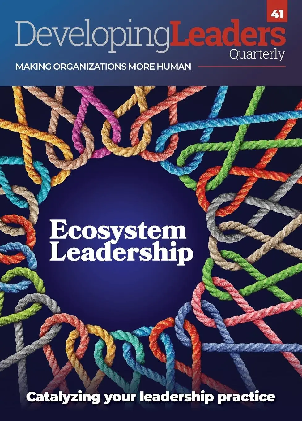 Cover: 9781915529169 | Developing Leaders Quarterly | Ecosystem Leadership | Millar (u. a.)