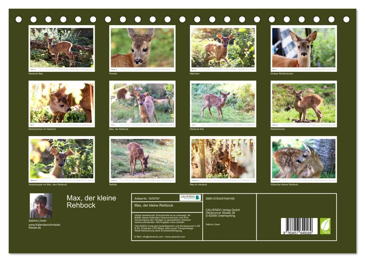 Bild: 9783457649169 | Max, der kleine Rehbock (Tischkalender 2026 DIN A5 quer), CALVENDO...