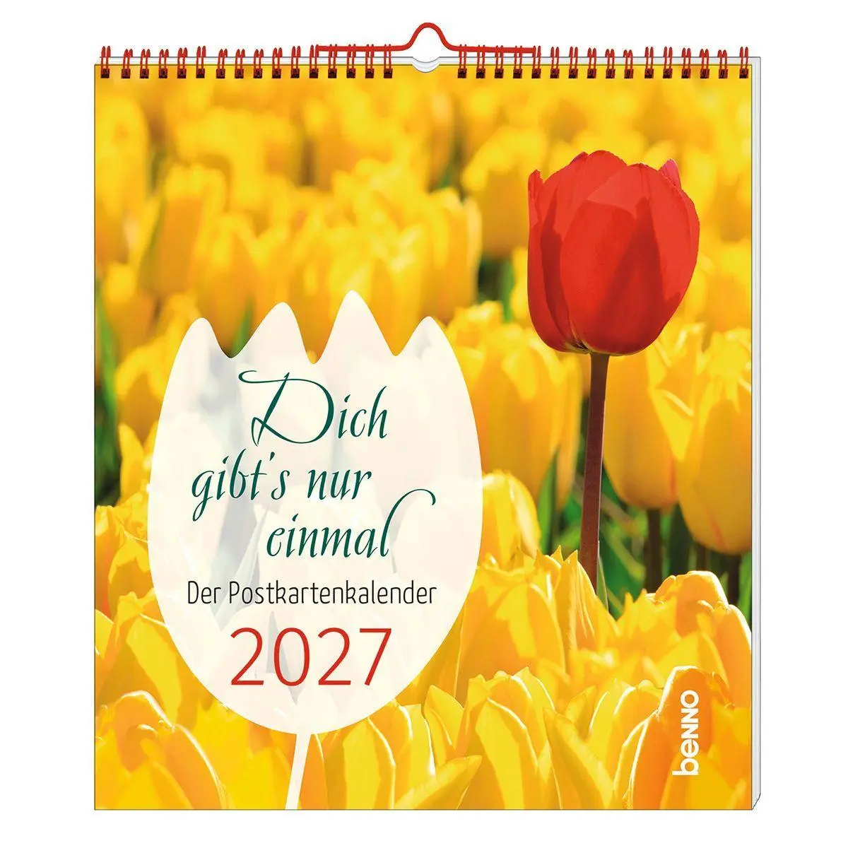 Cover: 9783746269269 | Dich gibt's nur einmal 2027 | Der Postkartenkalender | Kalender | 2027