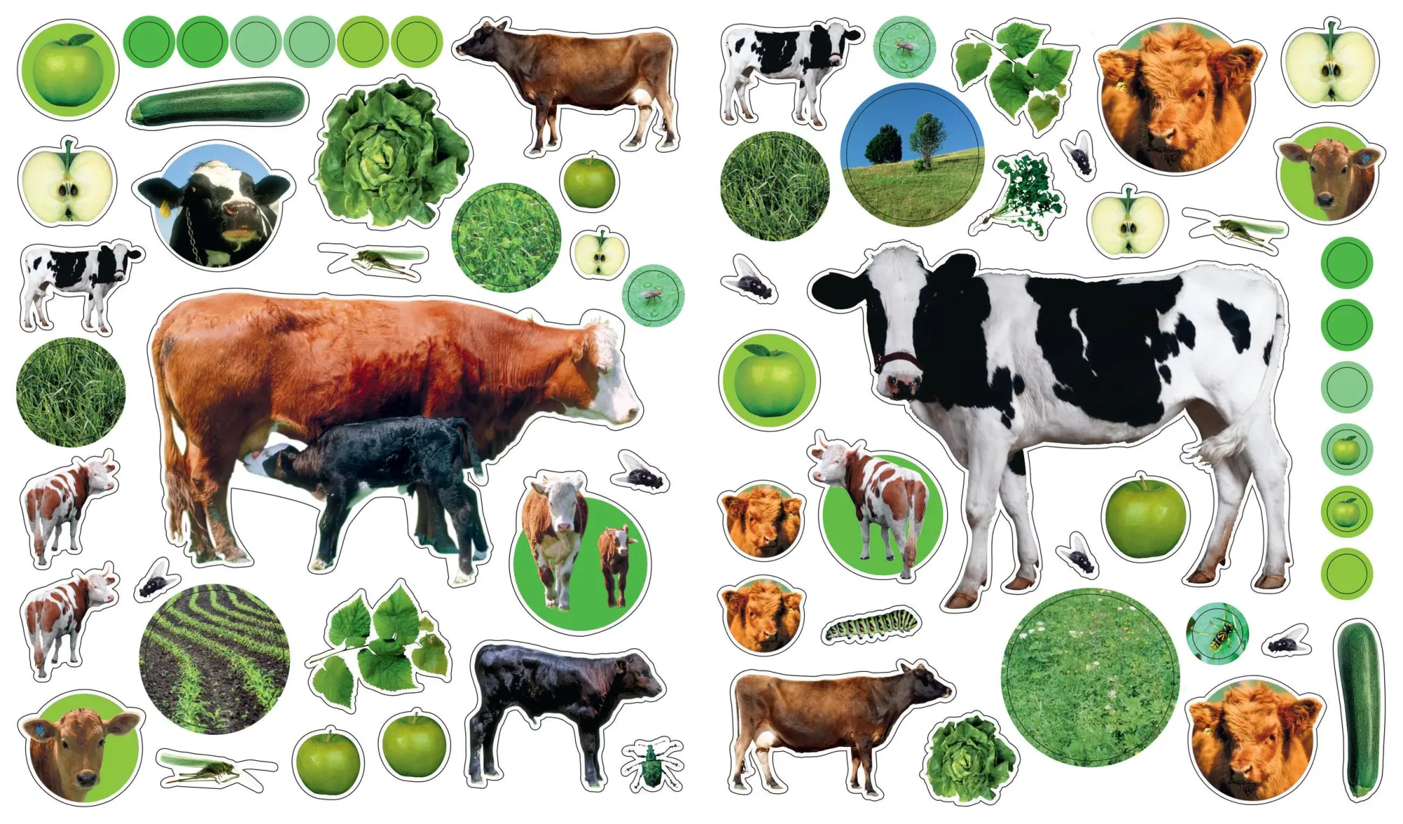 Bild: 9780761169369 | EyeLike Stickers: On the Farm | Workman Publishing | Broschüre | 2011