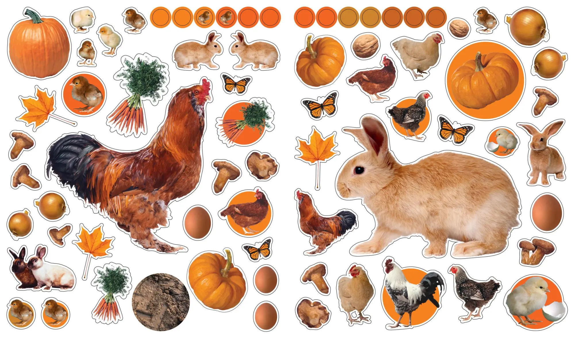 Bild: 9780761169369 | EyeLike Stickers: On the Farm | Workman Publishing | Broschüre | 2011
