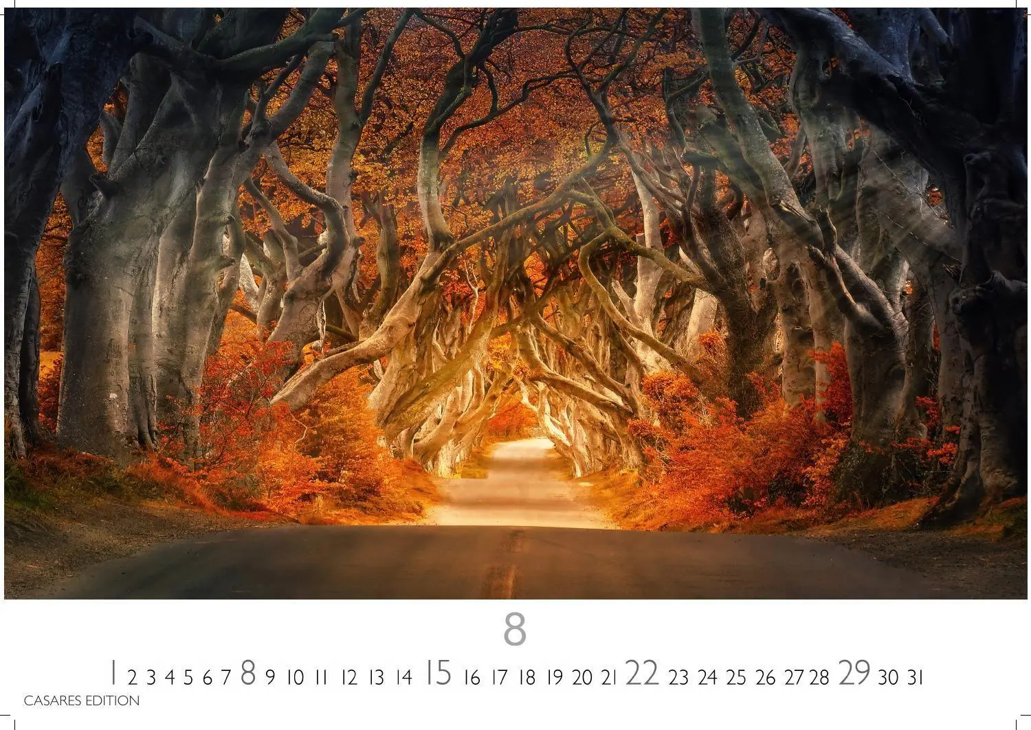 Bild: 9781835249369 | Indian Summer Kalender 2027 - Wandkalender Fotokalender Nordamerika...