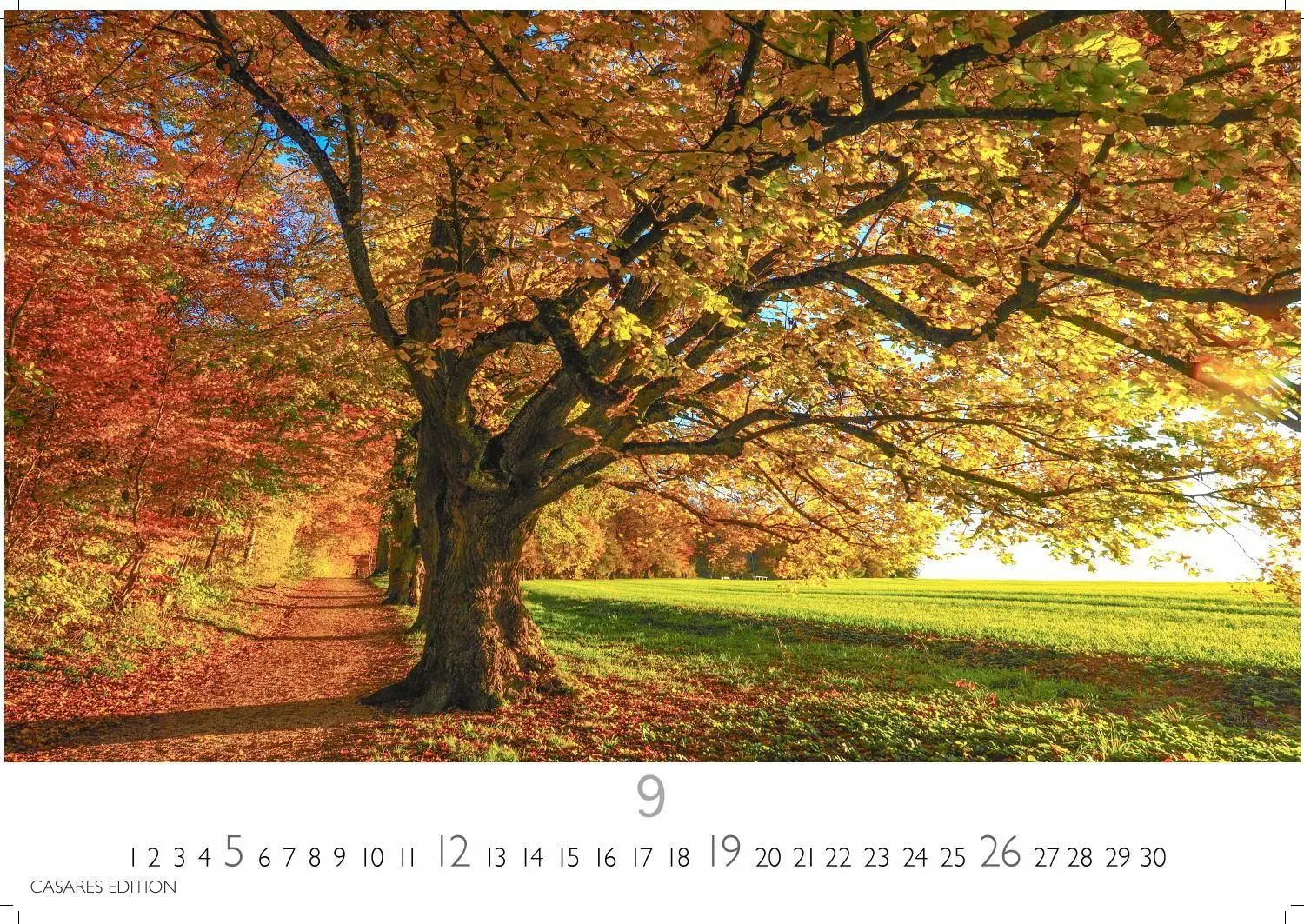Bild: 9781835249369 | Indian Summer Kalender 2027 - Wandkalender Fotokalender Nordamerika...