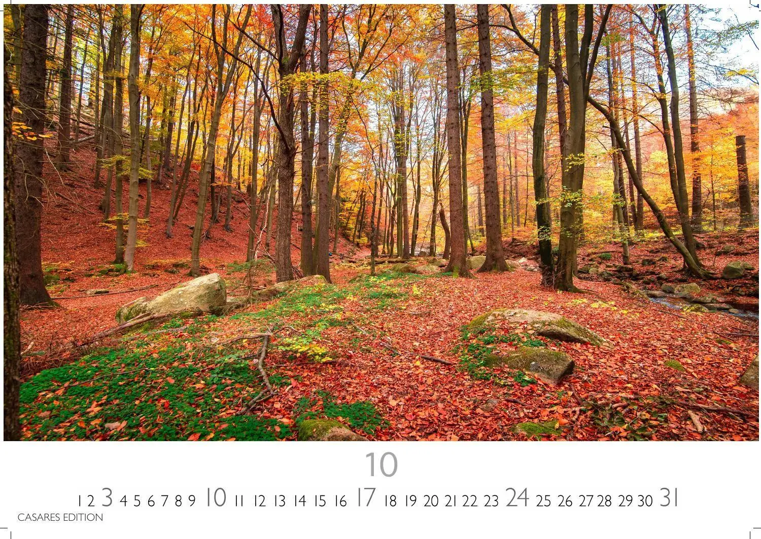 Bild: 9781835249369 | Indian Summer Kalender 2027 - Wandkalender Fotokalender Nordamerika...
