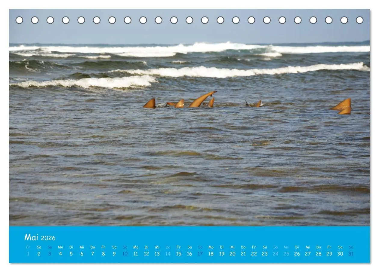 Bild: 9783457799369 | Cabo verde Inselgeflüster - Ilha do Sal (Tischkalender 2026 DIN A5...