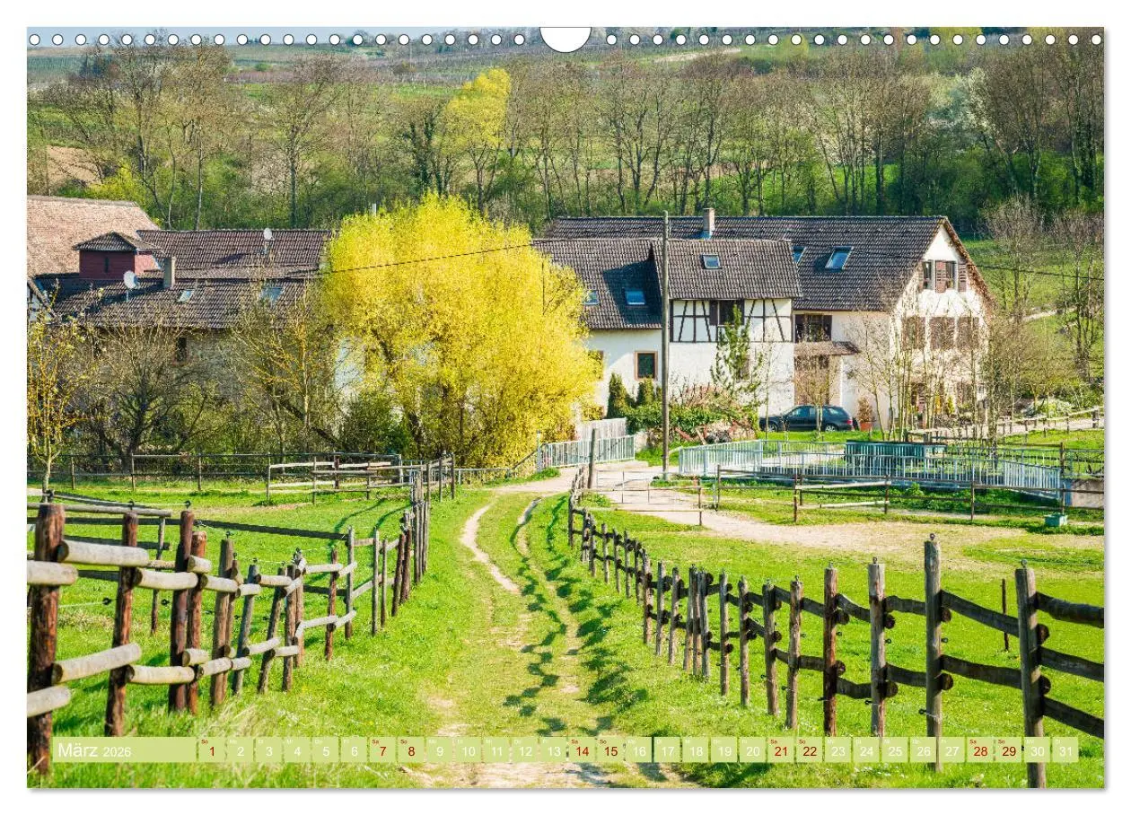 Bild: 9783457869369 | Rheinhessen-Impressionen (Wandkalender 2026 DIN A3 quer), CALVENDO...