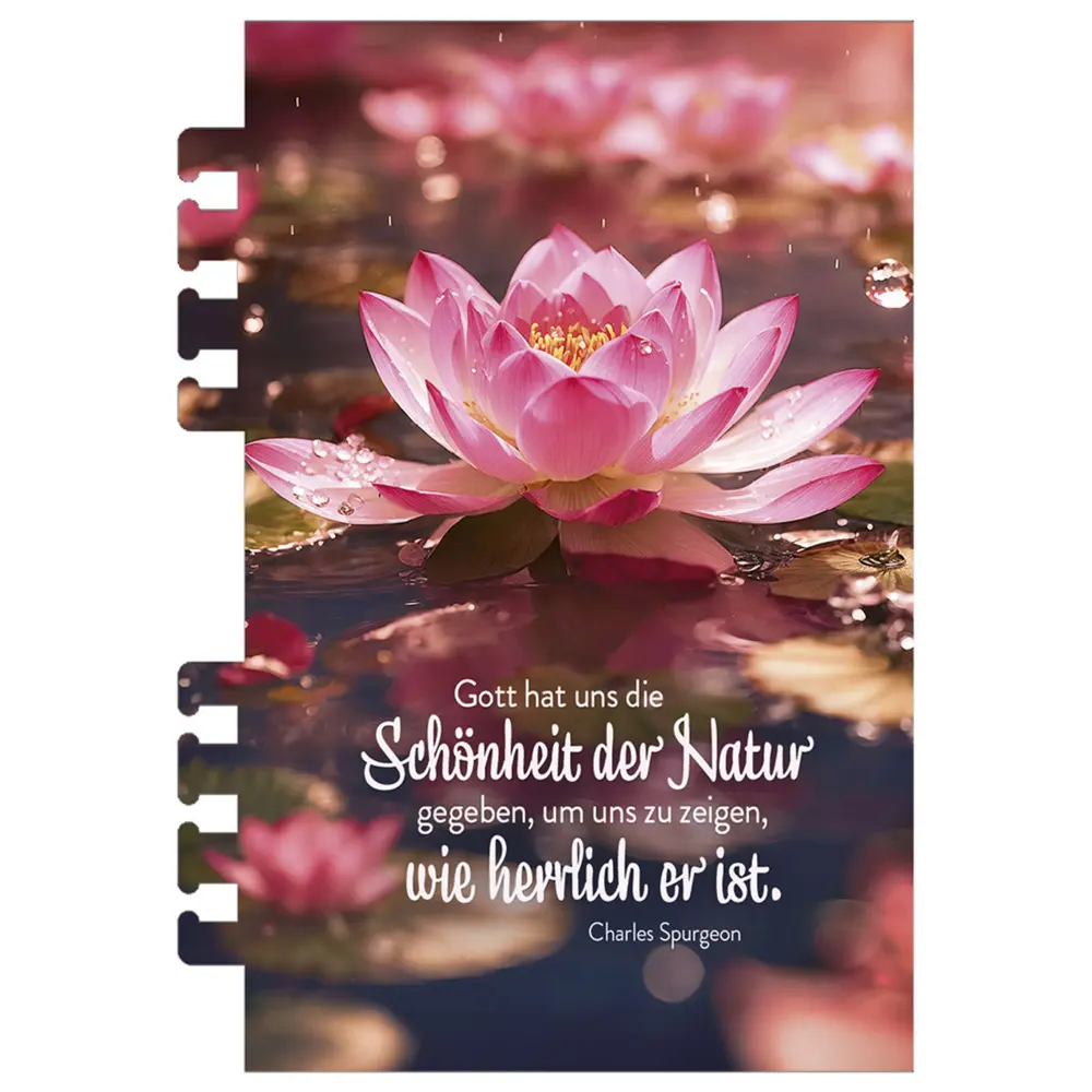 Bild: 9783754869369 | Tage voller Licht 2026 | Termin-Kalender für unterwegs | Kalender