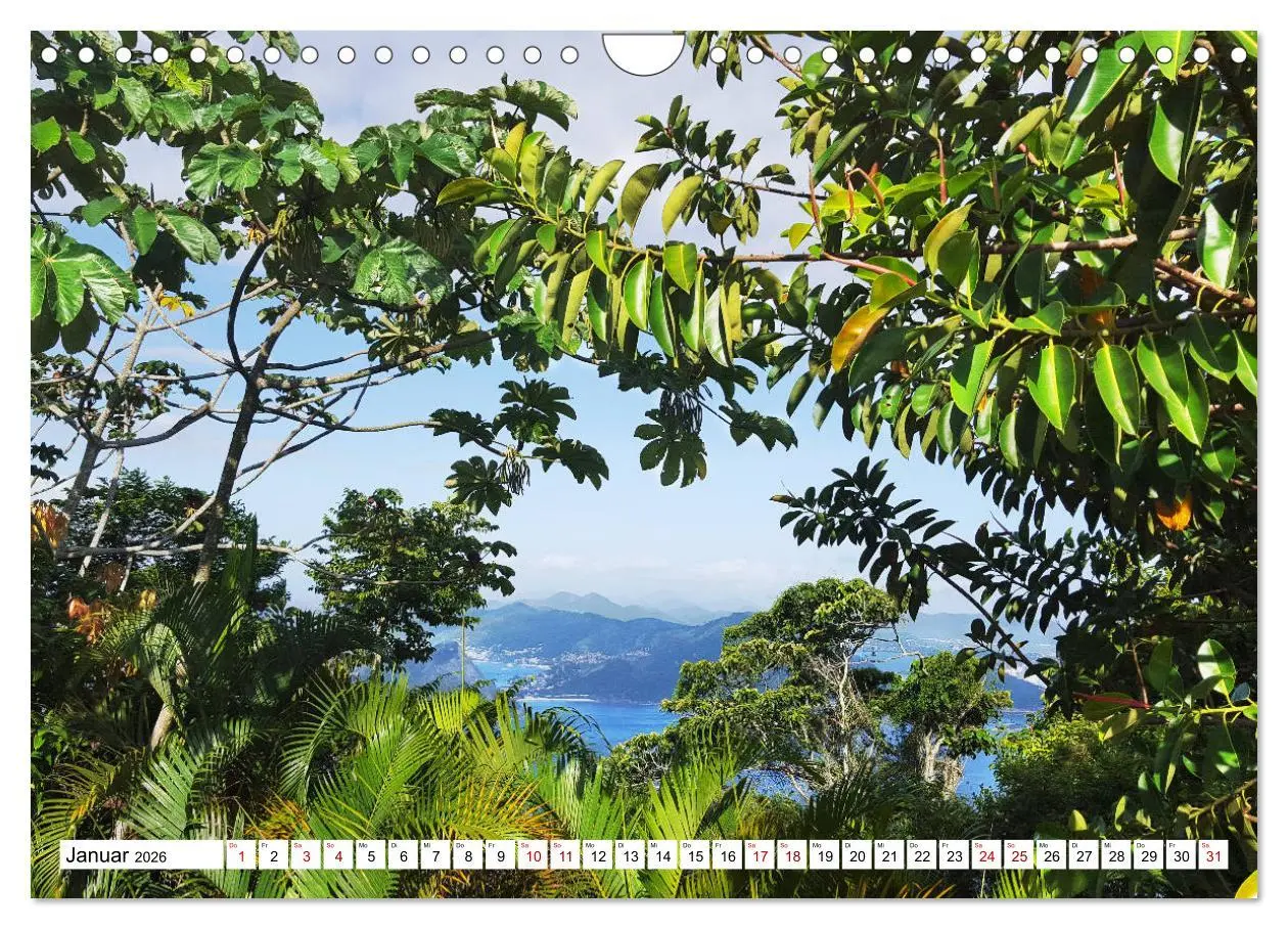 Bild: 9783457929469 | Buntes Brasilien (Wandkalender 2026 DIN A4 quer), CALVENDO...