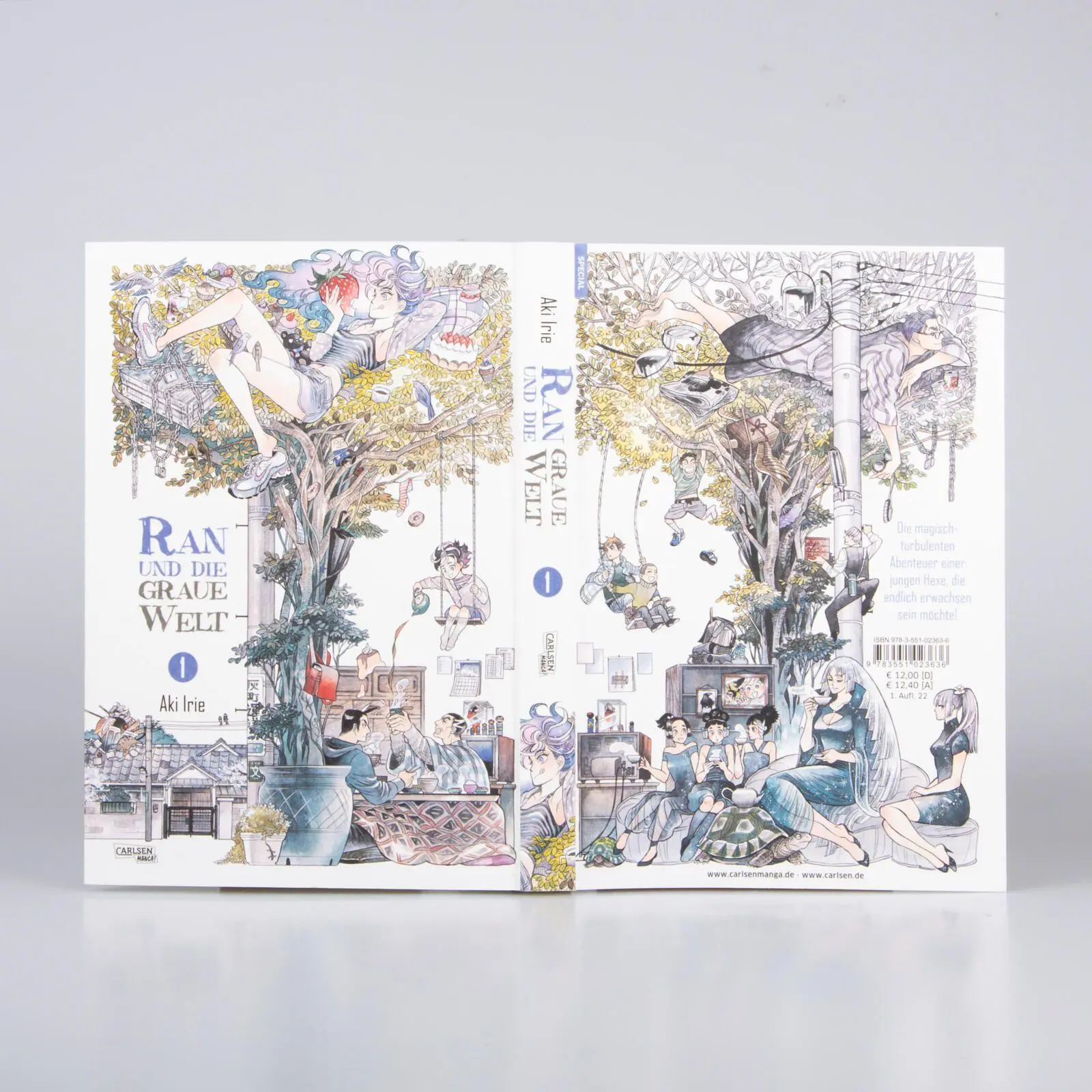 Bild: 9783551809469 | Ran und die graue Welt Doppelpack 1-2 | Aki Irie | Taschenbuch | 2026