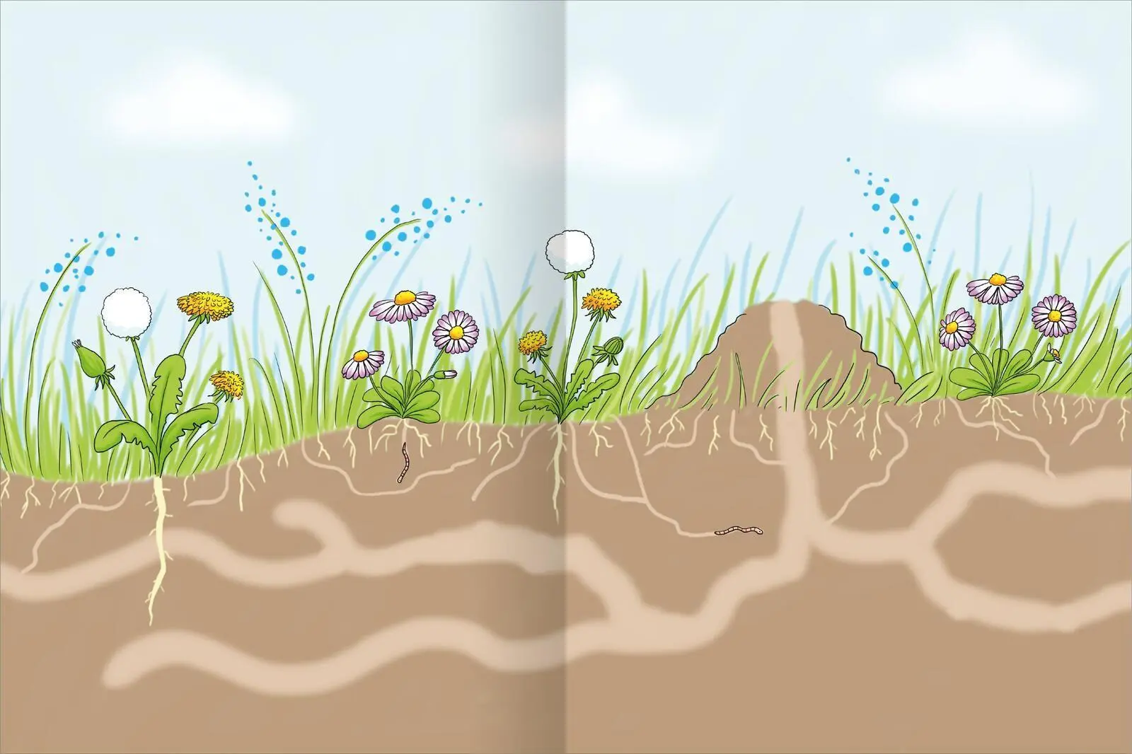 Bild: 9783845869469 | Erstes Stickern - Im Wald | Über 400 Sticker | Petra Theissen | Buch