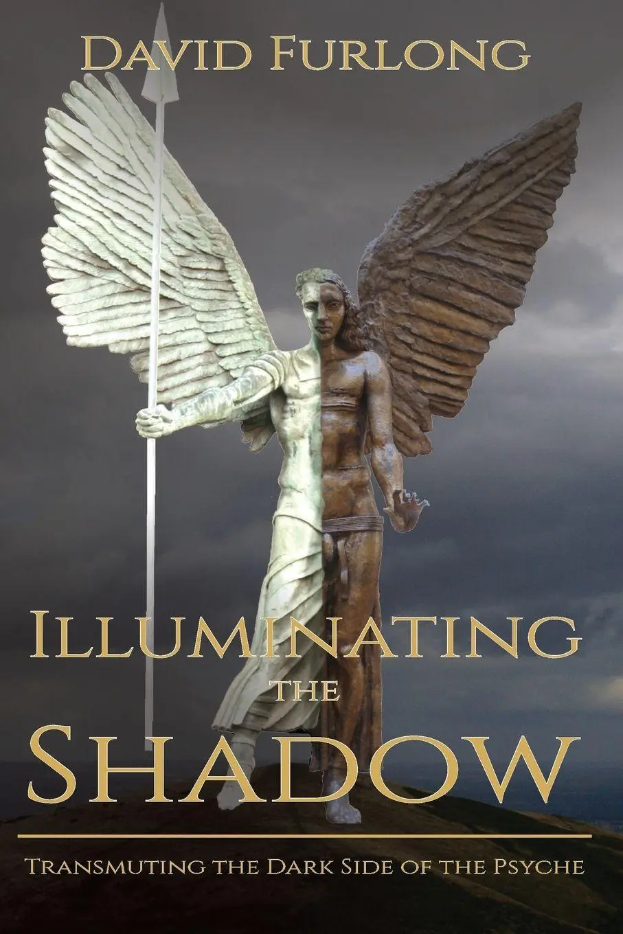Cover: 9780955979569 | Illuminating the Shadow | David Furlong | Taschenbuch | Gebunden