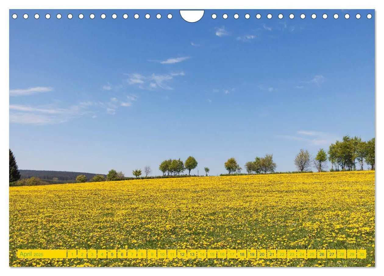 Bild: 9783435139569 | Eifel Sehnsucht (Wandkalender 2025 DIN A4 quer), CALVENDO...