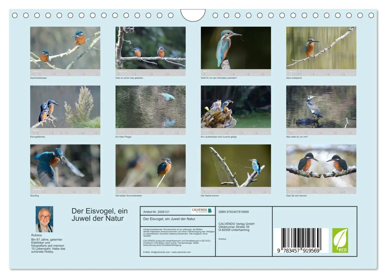 Bild: 9783457919569 | Der Eisvogel, ein Juwel der Natur (Wandkalender 2026 DIN A4 quer),...
