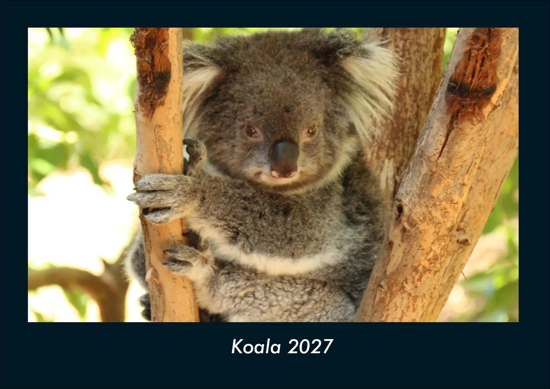 Cover: 9783695439669 | Koala 2027 Fotokalender DIN A4 | Tobias Schmitt (u. a.) | Kalender