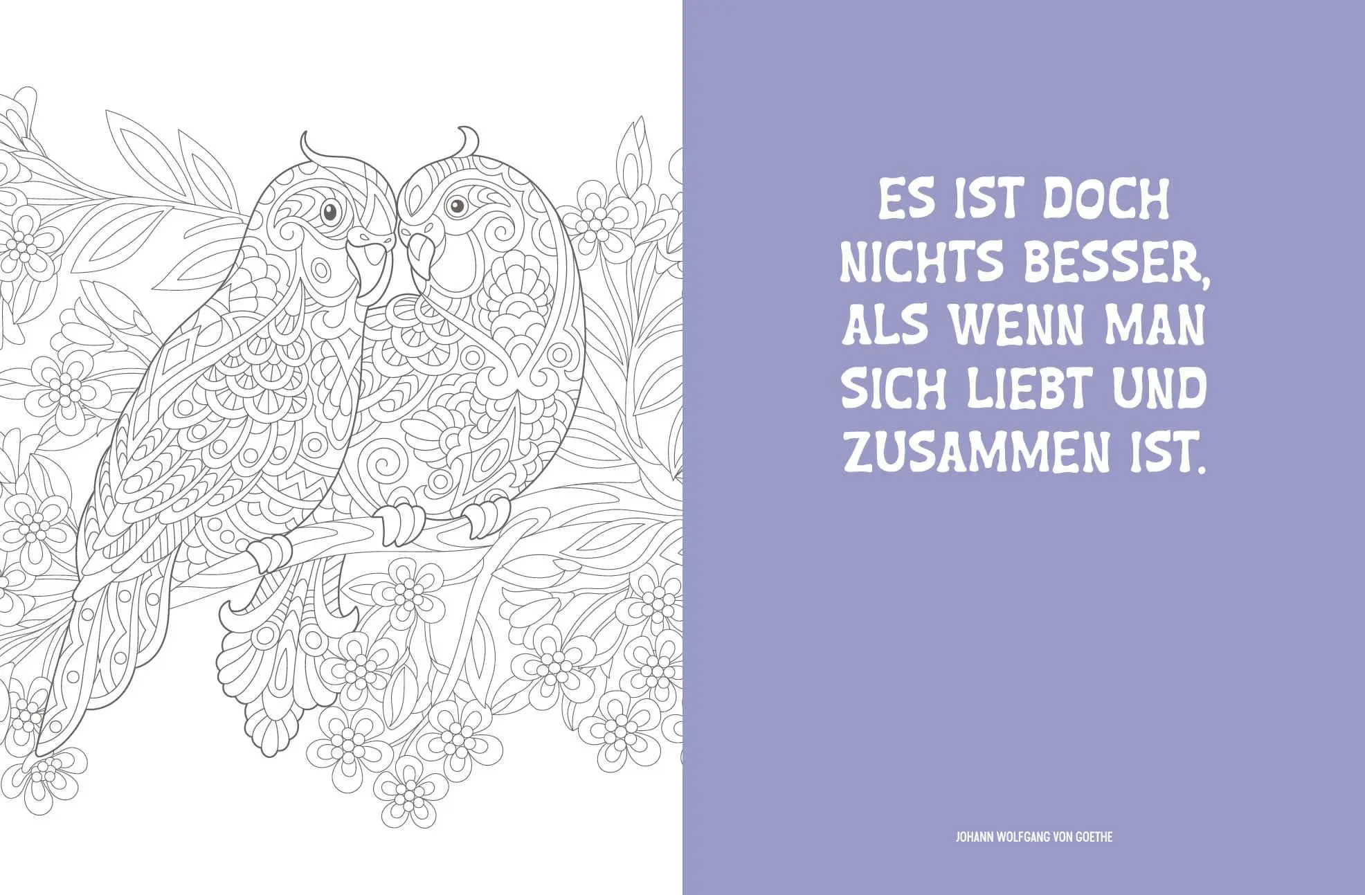 Bild: 9783745929669 | Colorful Mandala - Tierisch verliebt | Edition Michael Fischer | Buch